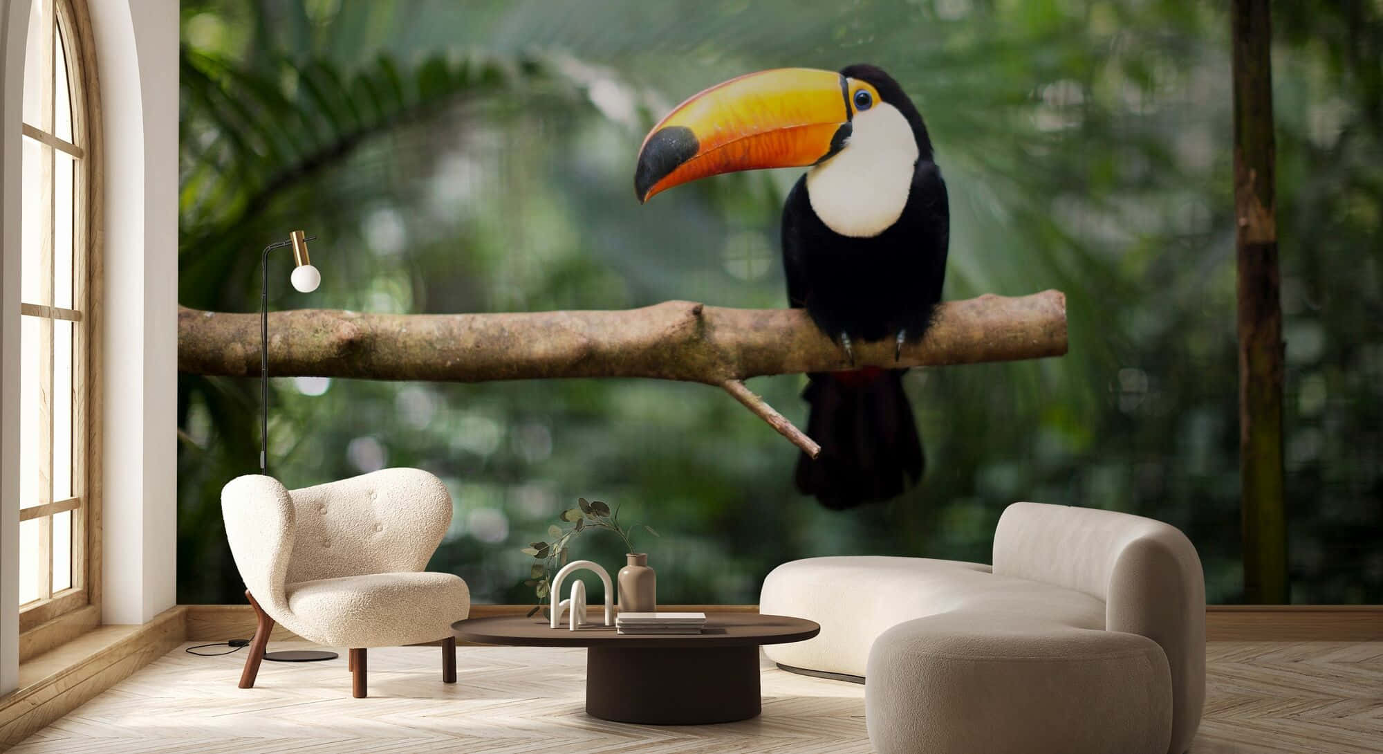 toucan, bright orange beak, branch, Full HD Desktop Wallpaper