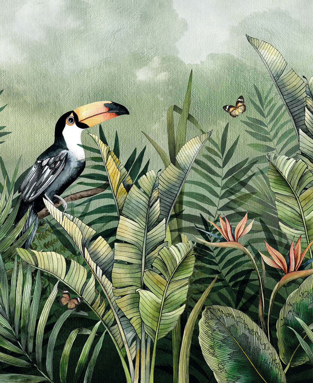 tropical toucan, lush tropical foliage, butterflies, HD Phone Wallpaper
