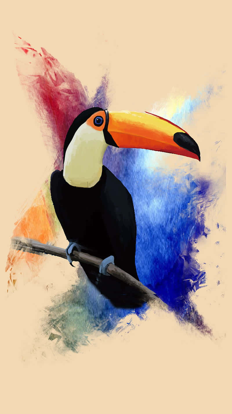 toucan, branch, watercolor background, HD Phone Wallpaper