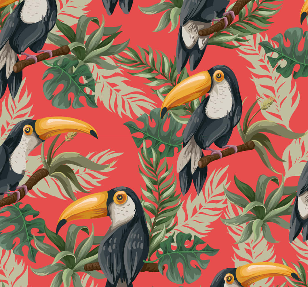 tropical toucan pattern, toucans, bright yellow beaks, SD Desktop Wallpaper