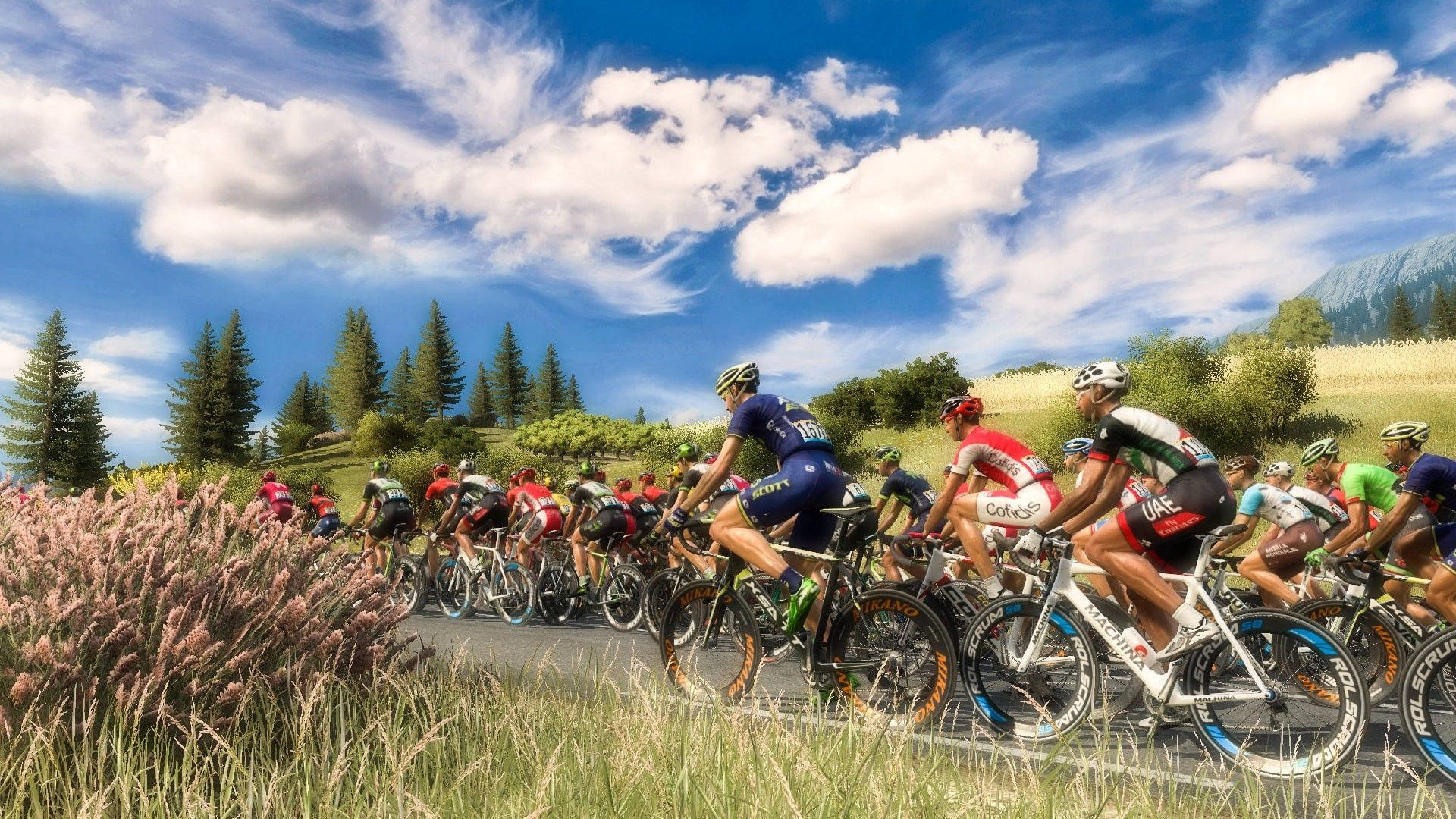 Tour de France, peloton, cyclists, Full HD Desktop Wallpaper