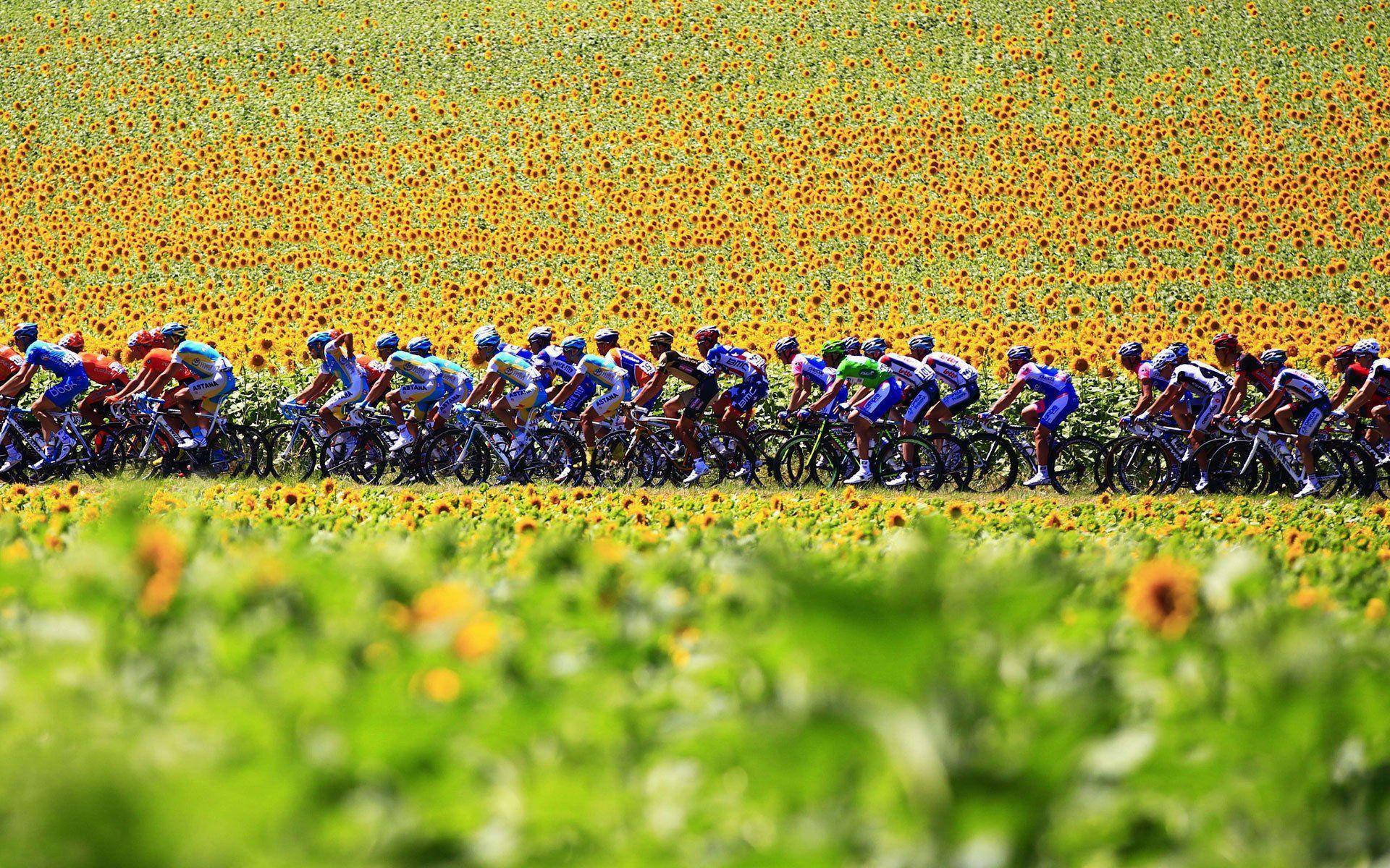 2010 Tour de France, peloton, cyclists, Full HD Desktop Wallpaper
