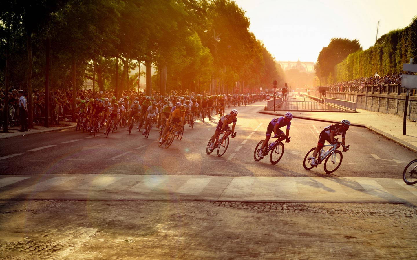 Tour de France, city road, tree-lined avenue, HD Desktop Wallpaper