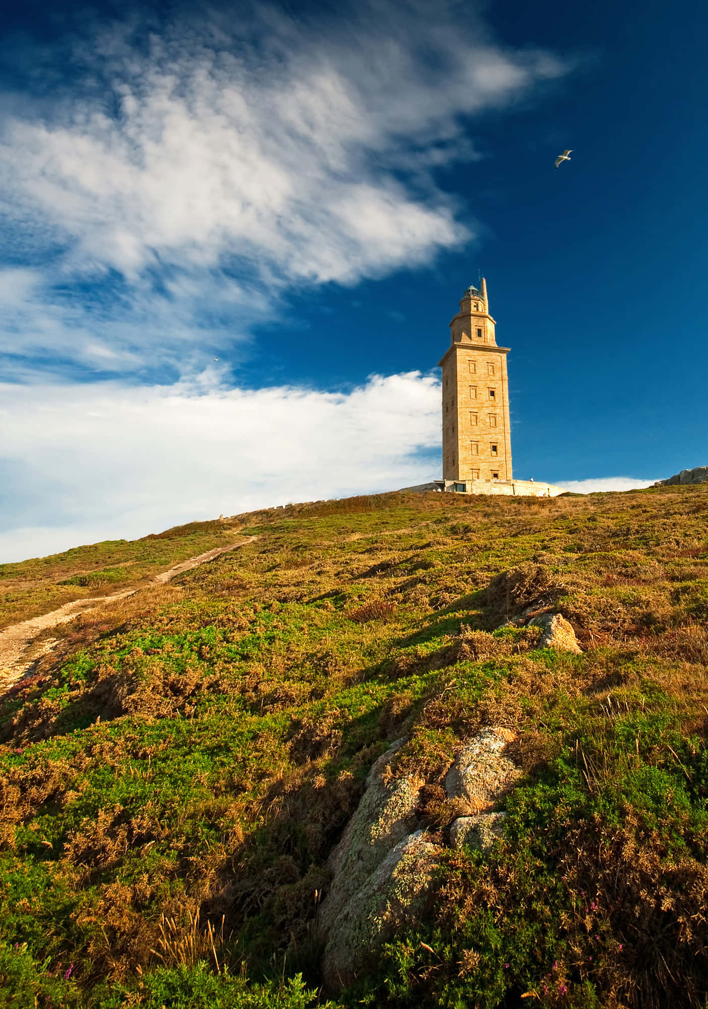 Tower Of Hercules, stone lighthouse, grassy hill, Full HD Phone Wallpaper
