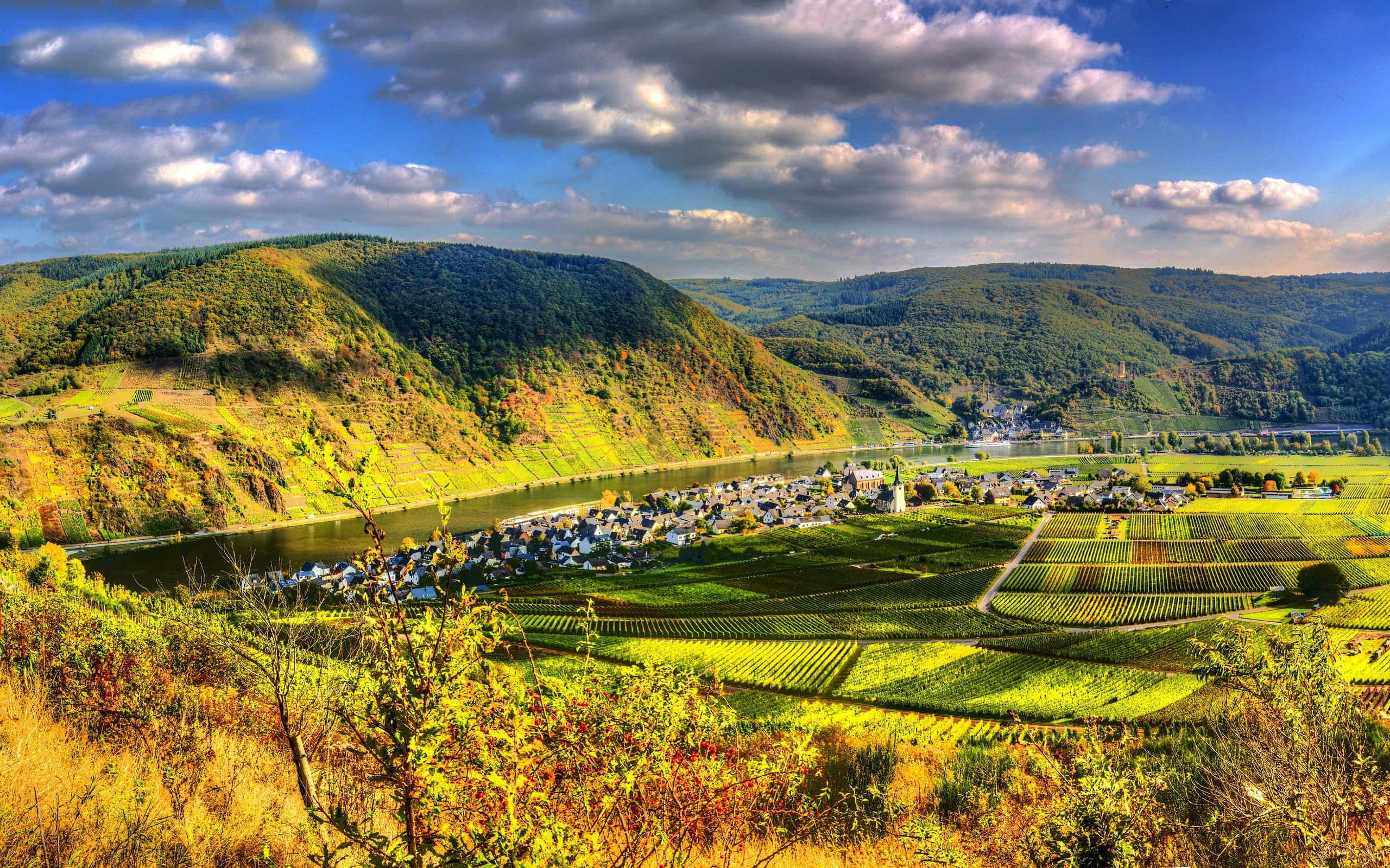 vineyard, valley, terraced vineyards, 2K Desktop Wallpaper