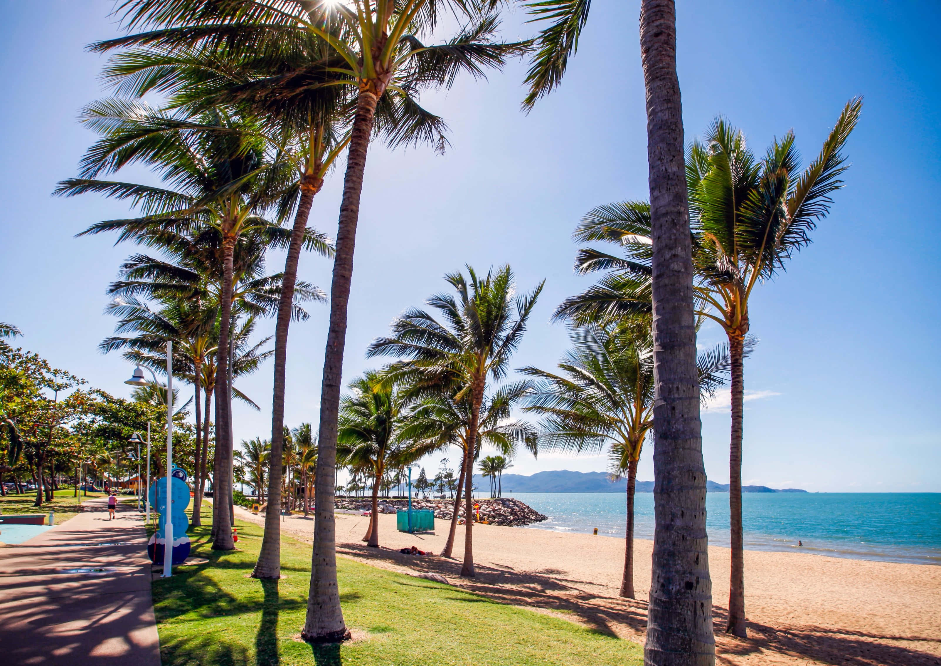 Townsville, palm trees, sunny beachfront pathway, 2K Desktop Wallpaper