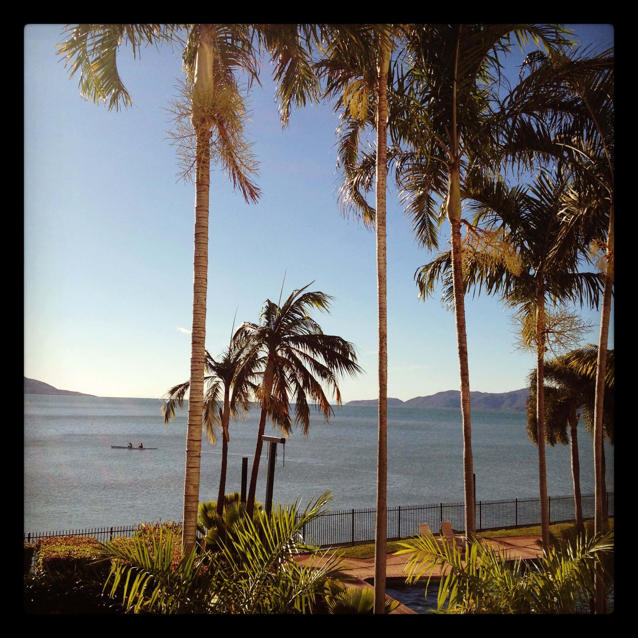 Townsville, tropical waterfront view, palm trees, Full HD Desktop Wallpaper