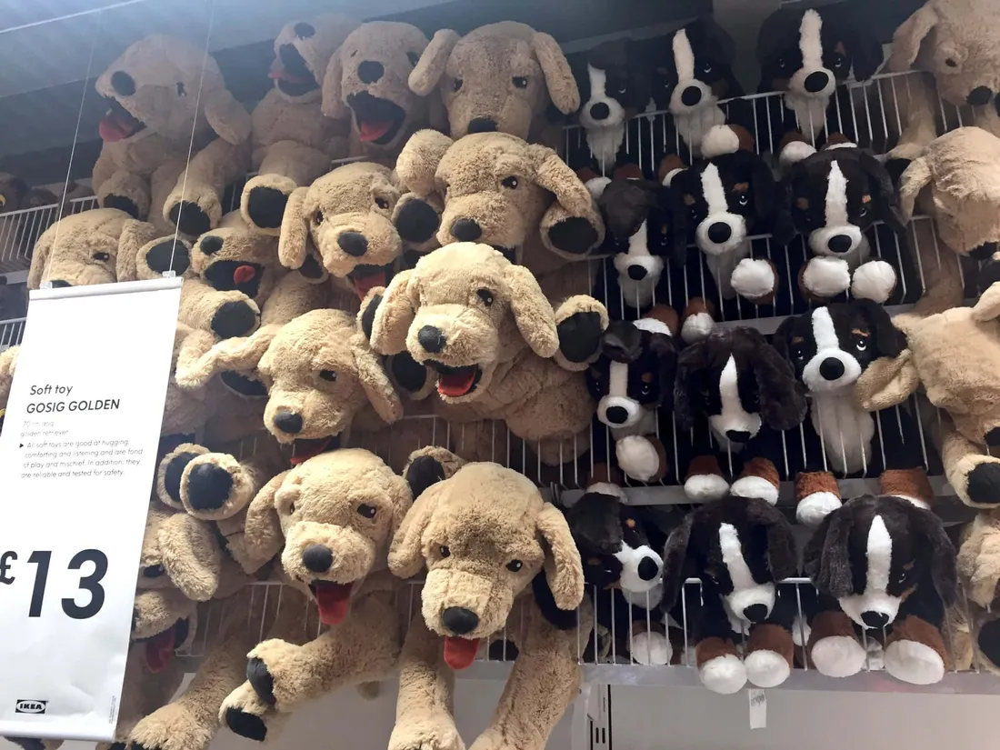 Toy Dog