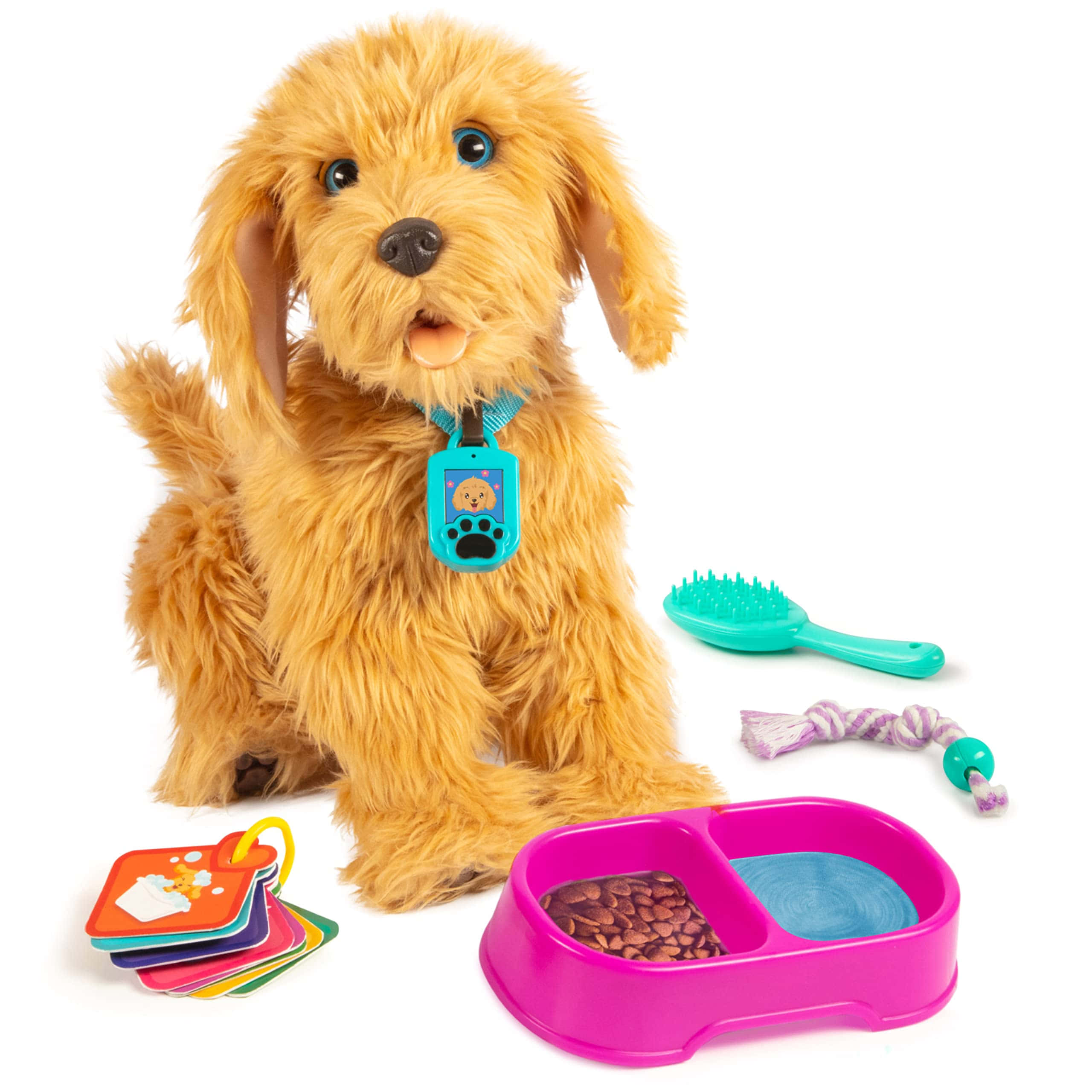 fluffy golden toy dog, pink bowl, kibble and water, 2K Desktop Wallpaper