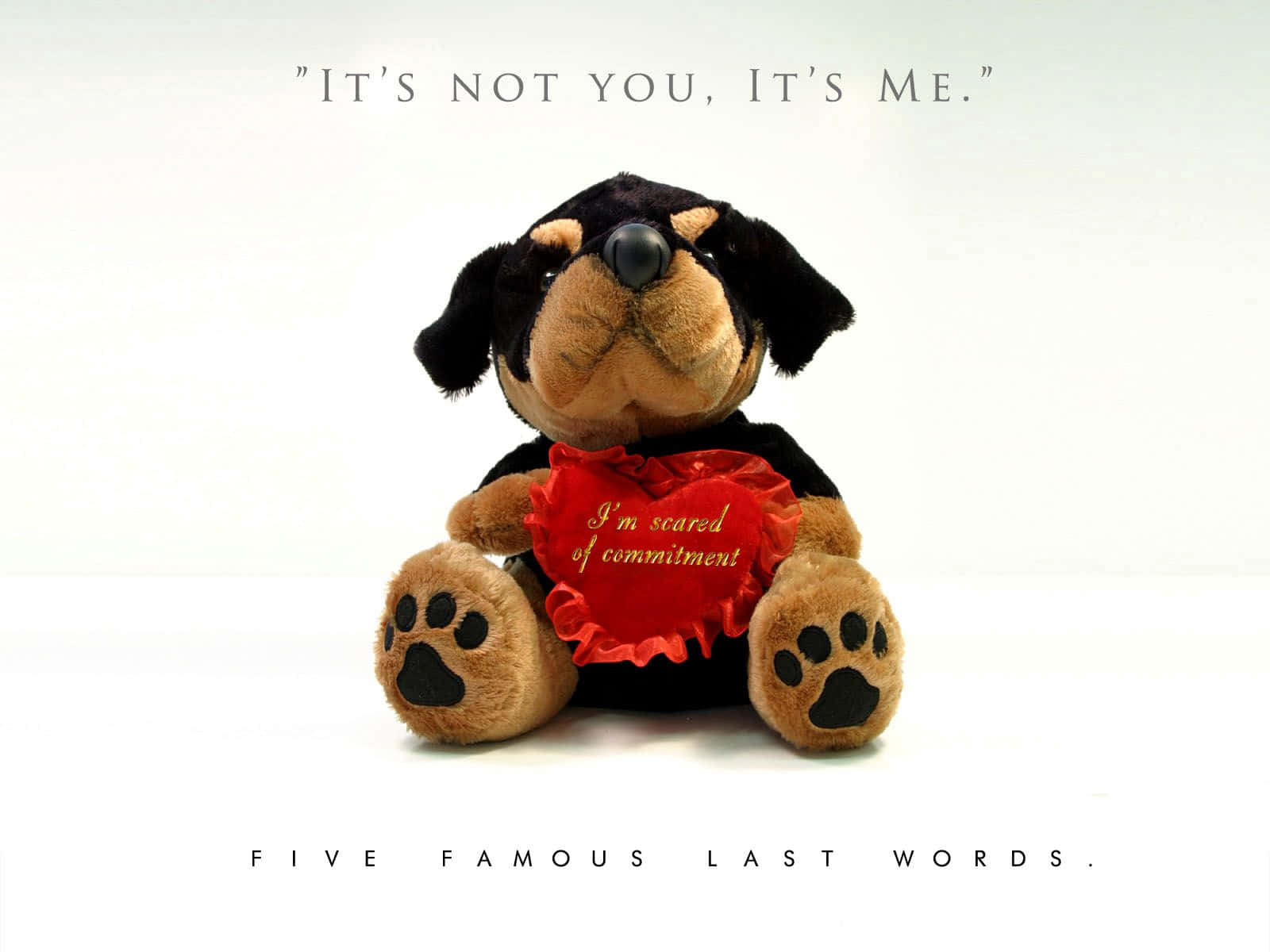 Commitment Phobic Toy Dog, black and tan, red heart, HD Desktop Wallpaper
