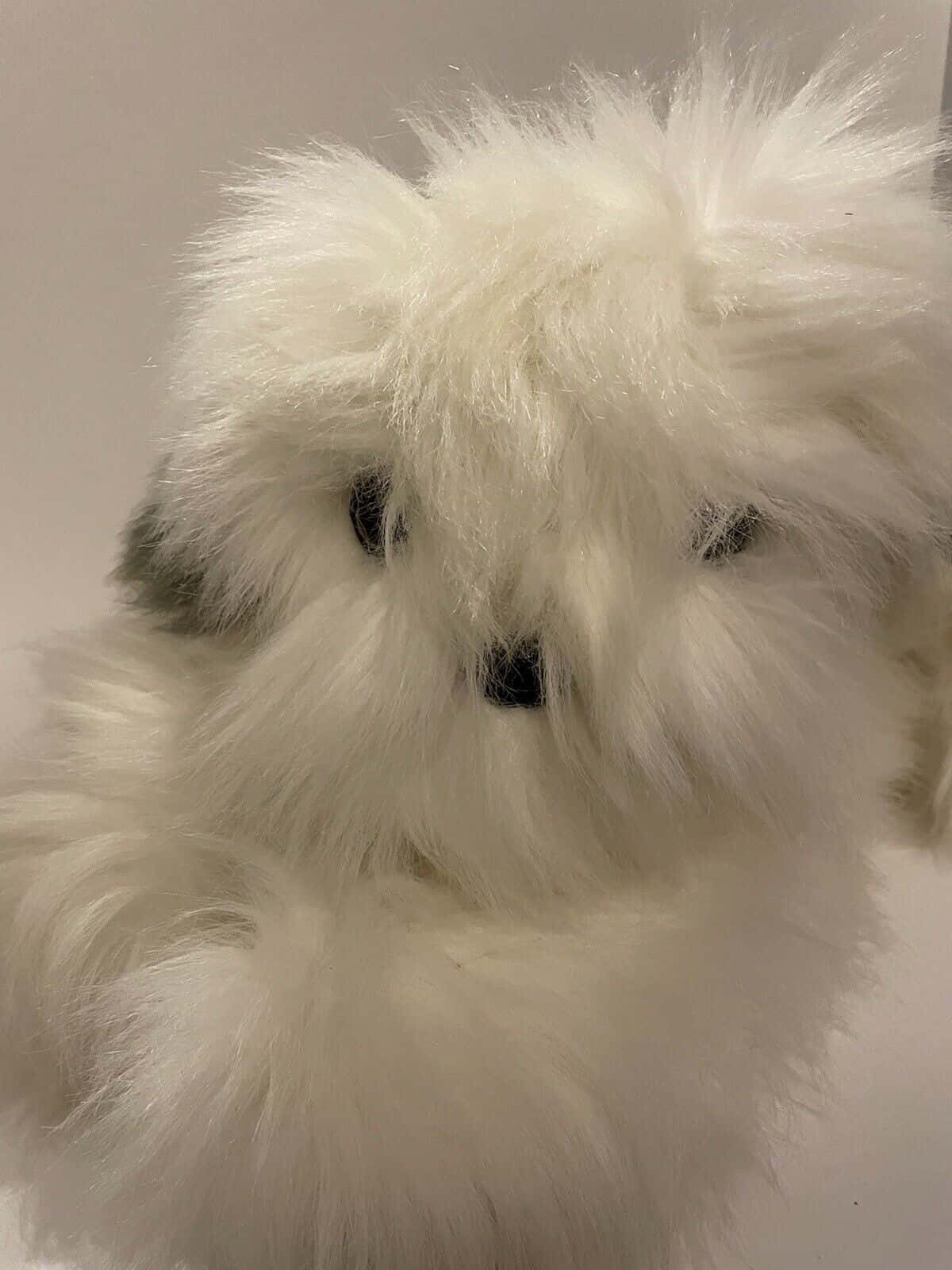 fluffy white dog toy, black button eyes, soft textured fur, HD Phone Wallpaper