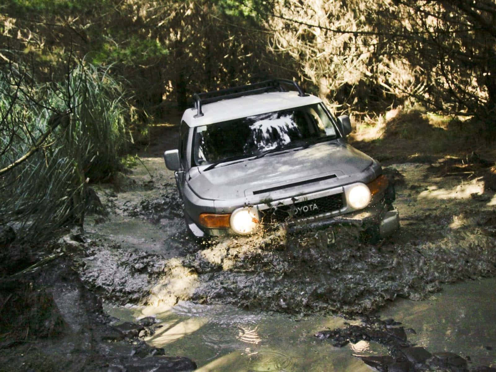 Toyota FJ Cruiser, silver, mud, HD Desktop Wallpaper