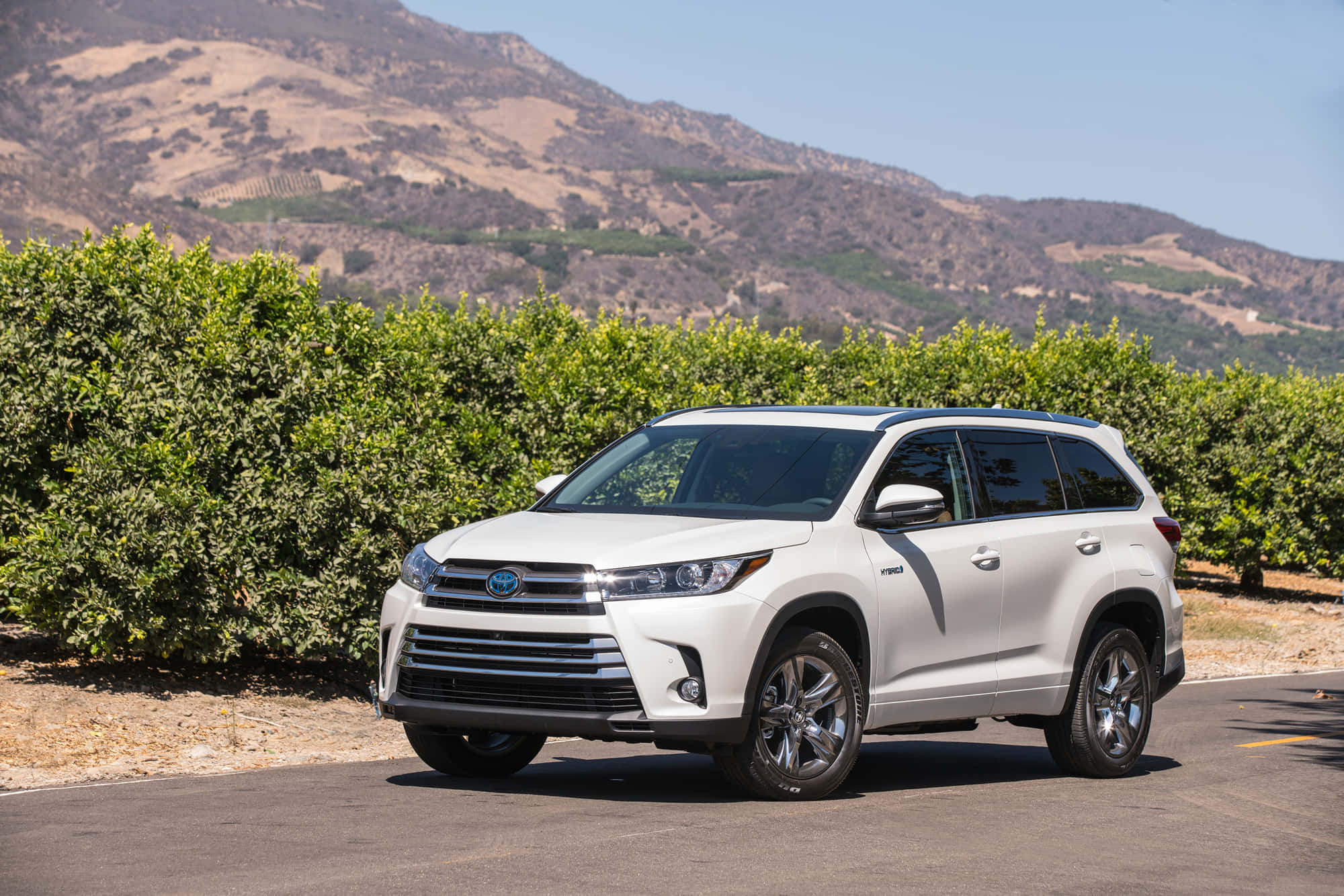 Toyota Highlander, white, paved road, Full HD Desktop Wallpaper