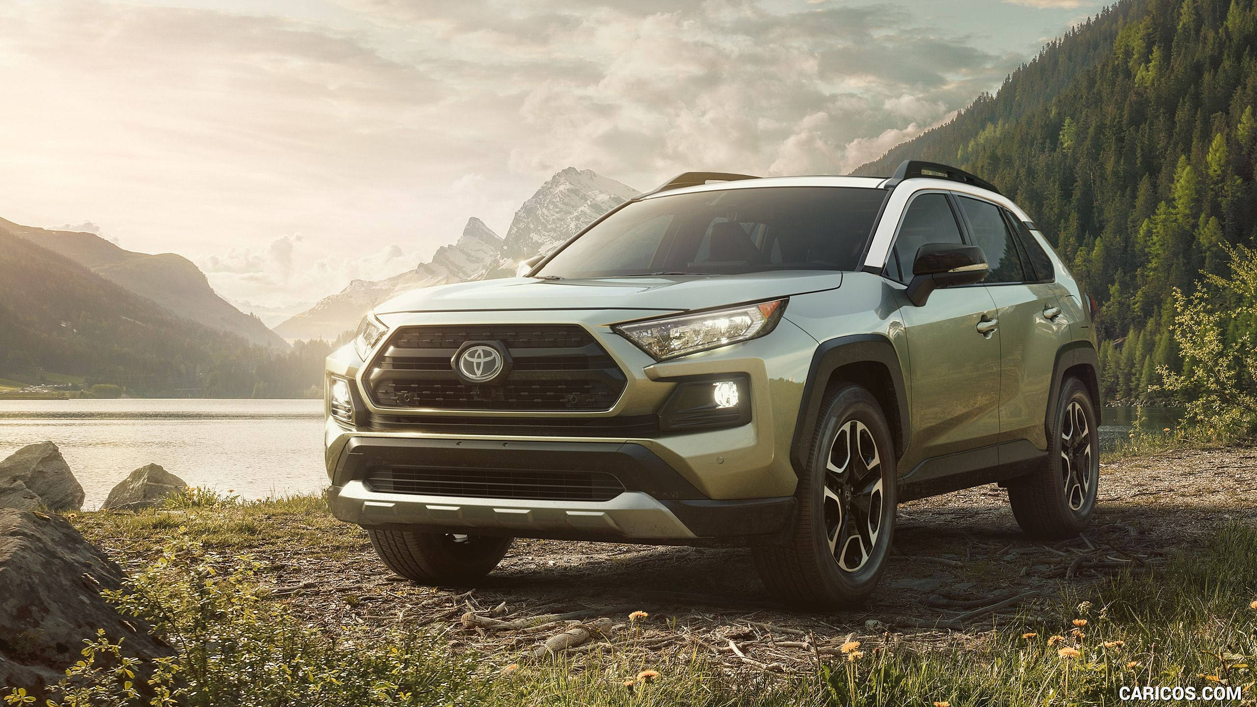 gray toyota rav4, silver toyota rav4, grassy lakeshore, 2K Desktop Wallpaper