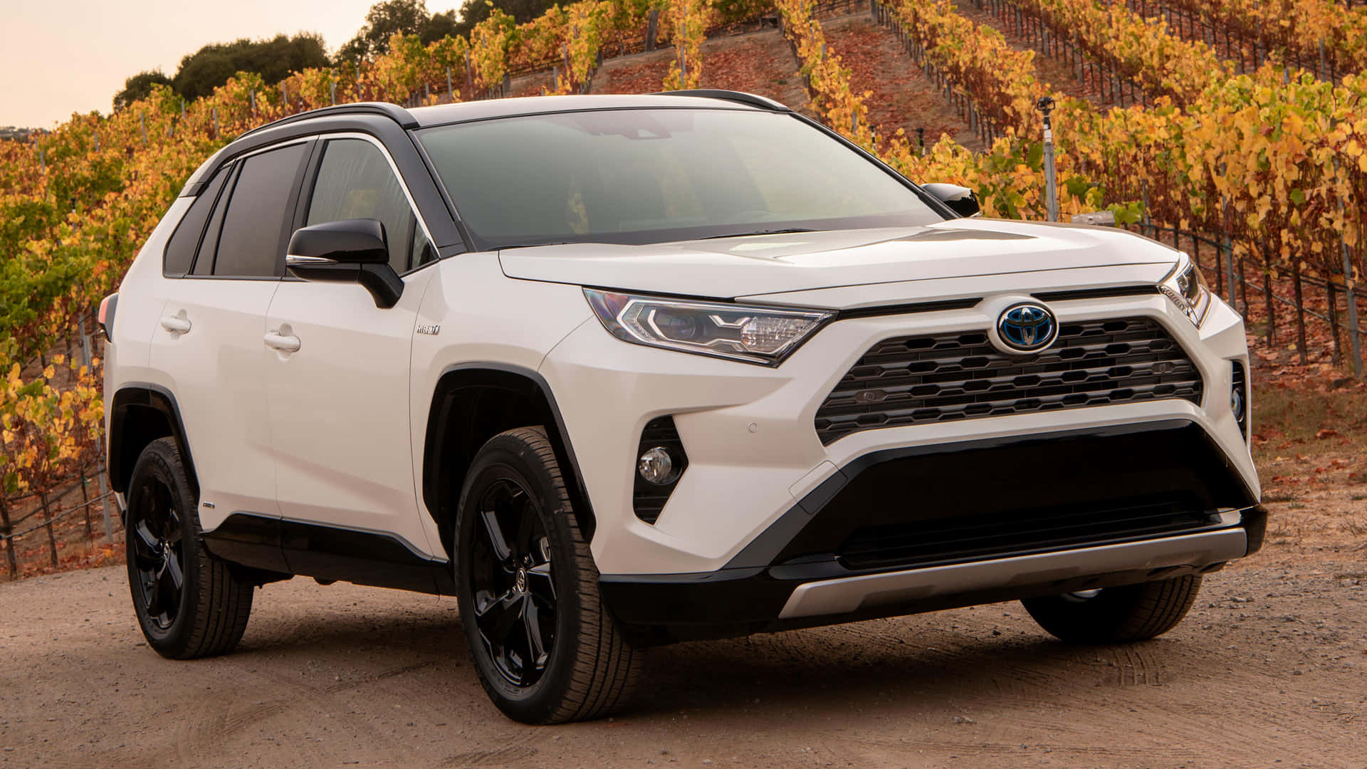 Toyota RAV4, white, black trim, Full HD Desktop Wallpaper