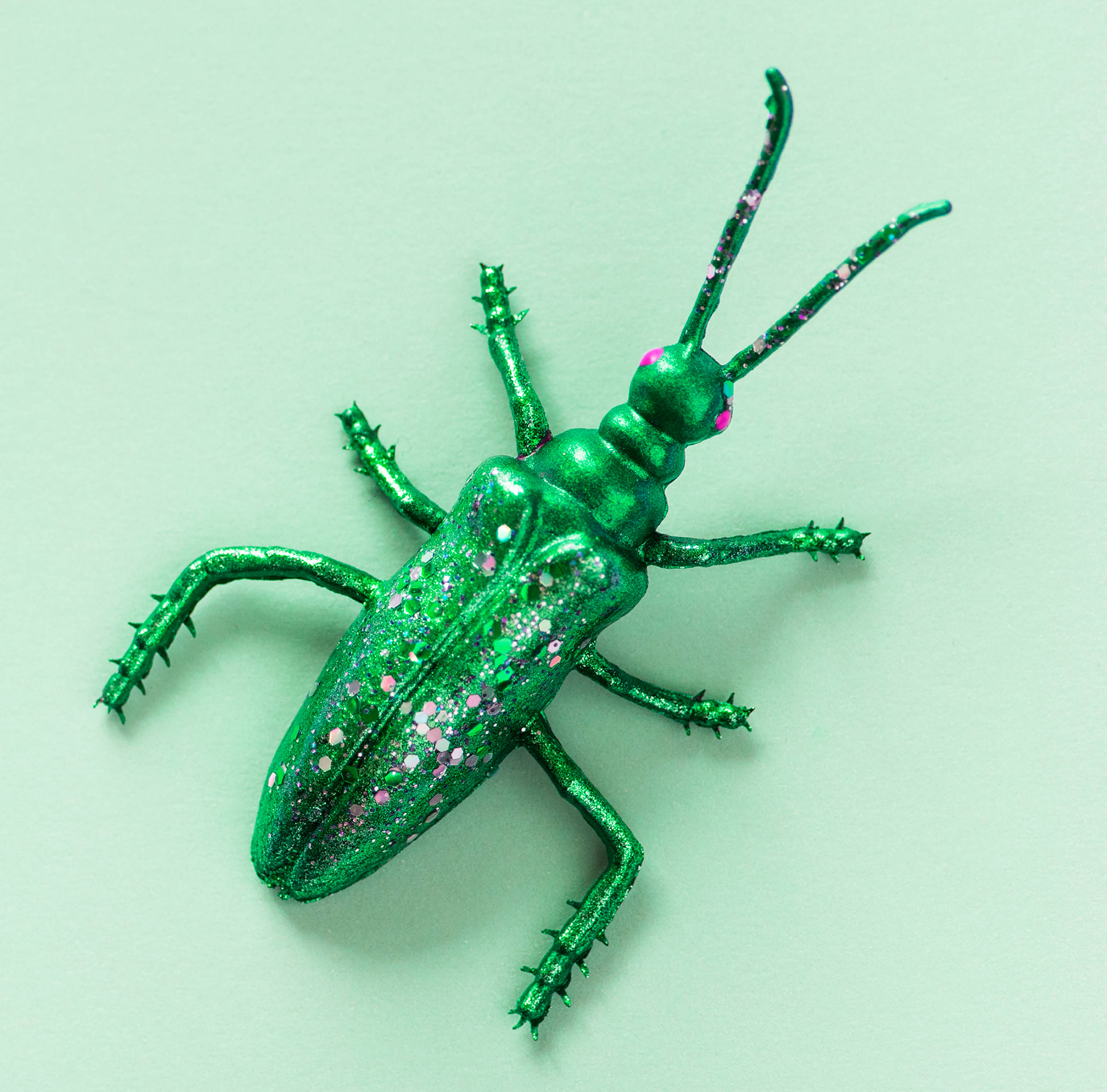 green beetle, glittery green, pink eyes, 2K Desktop Wallpaper