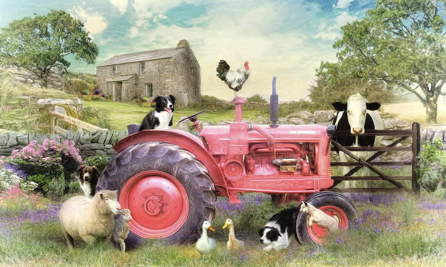 red tractor, sheep dogs, cows, HD Desktop Wallpaper