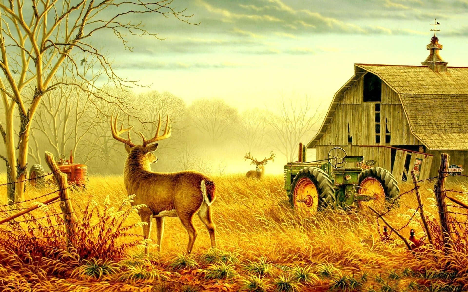 Deer, weathered barn, vintage tractor, Full HD Desktop Wallpaper