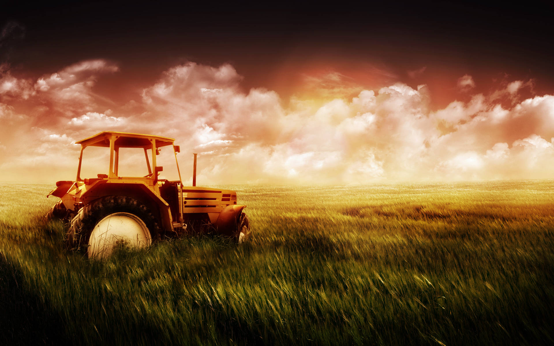 vintage orange tractor, golden wheat field, dramatic sunset sky, Full HD Desktop Wallpaper