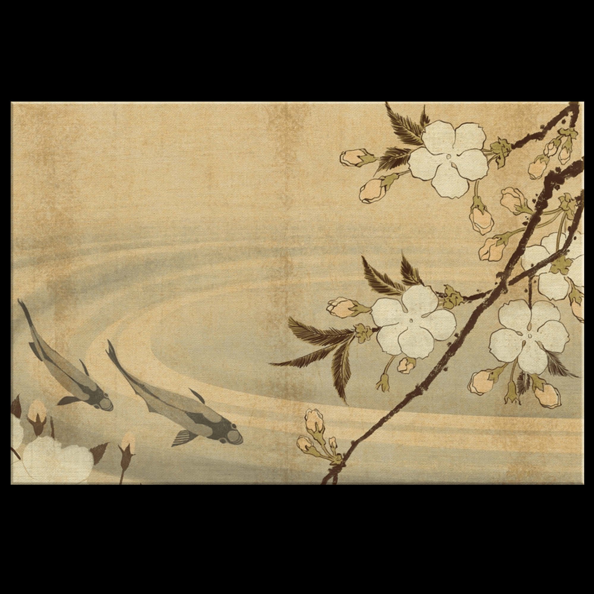 koi fish, blossoming cherry branch, textured beige background, Full HD Desktop Wallpaper