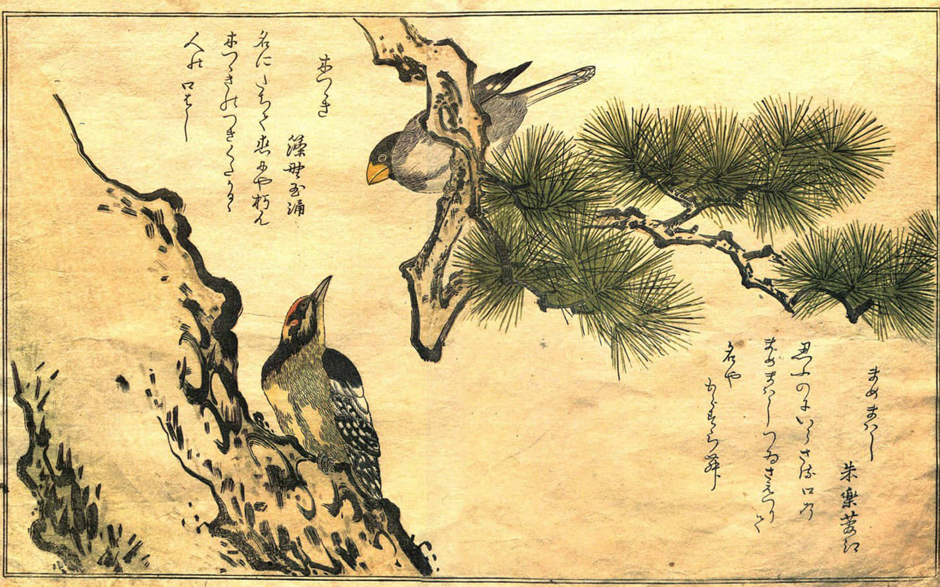 traditional Japanese art, pine branches, aged parchment, Full HD Desktop Wallpaper