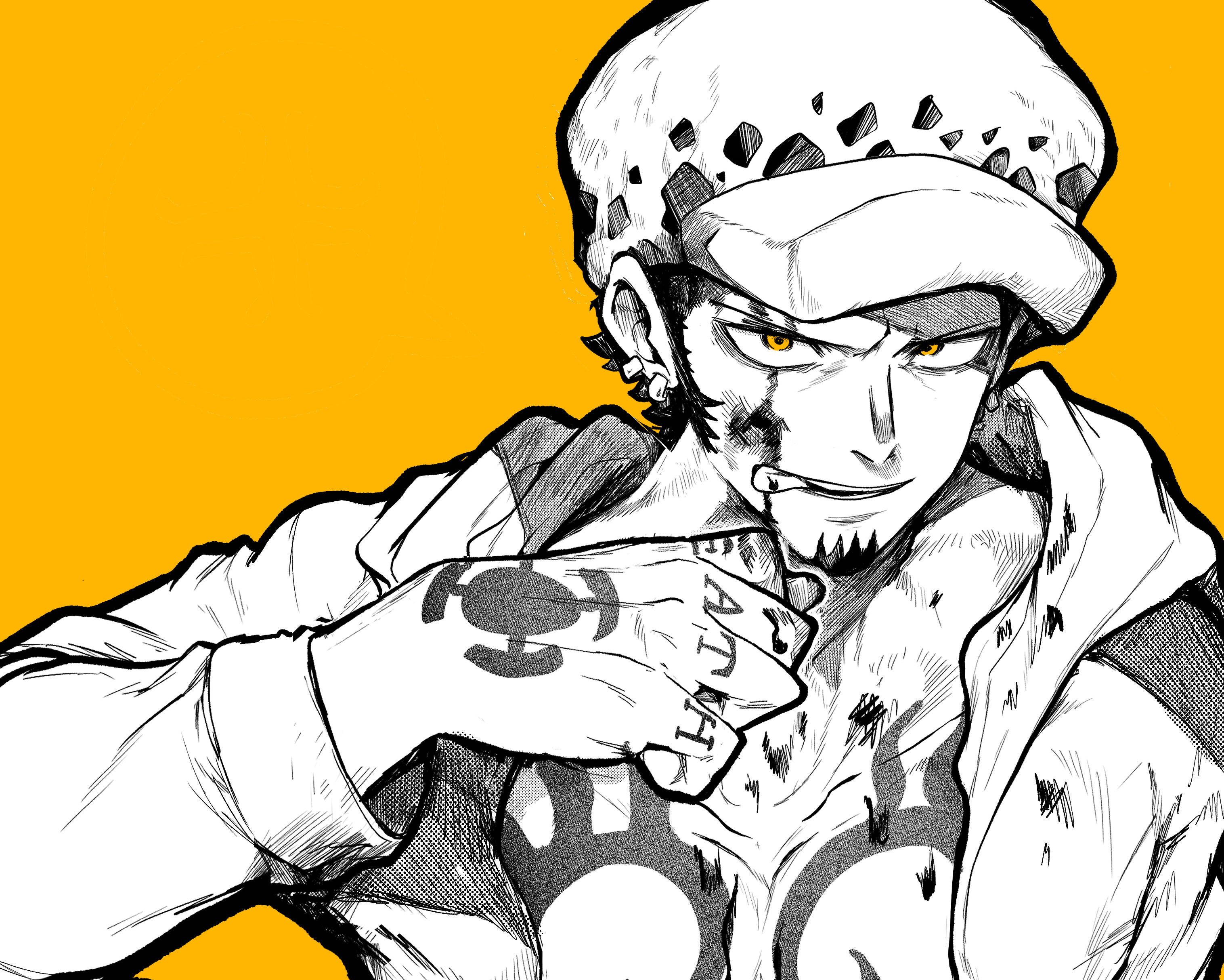 Trafalgar Law, One Piece, straw hat, 2K Desktop Wallpaper