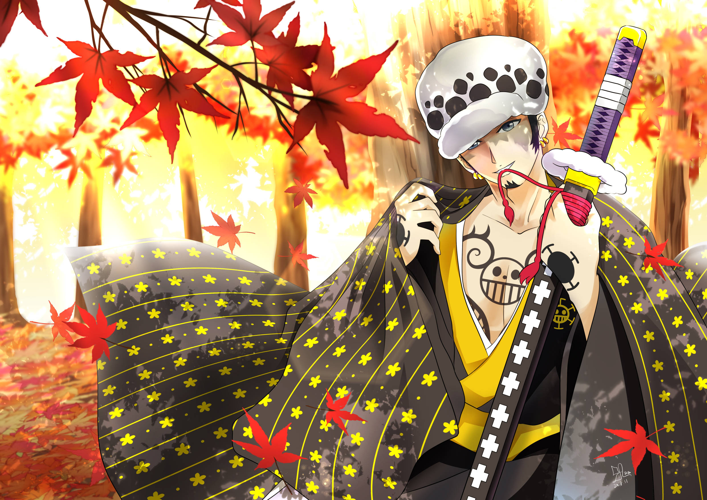 Trafalgar Law, One Piece, kimono, Full HD Desktop Wallpaper