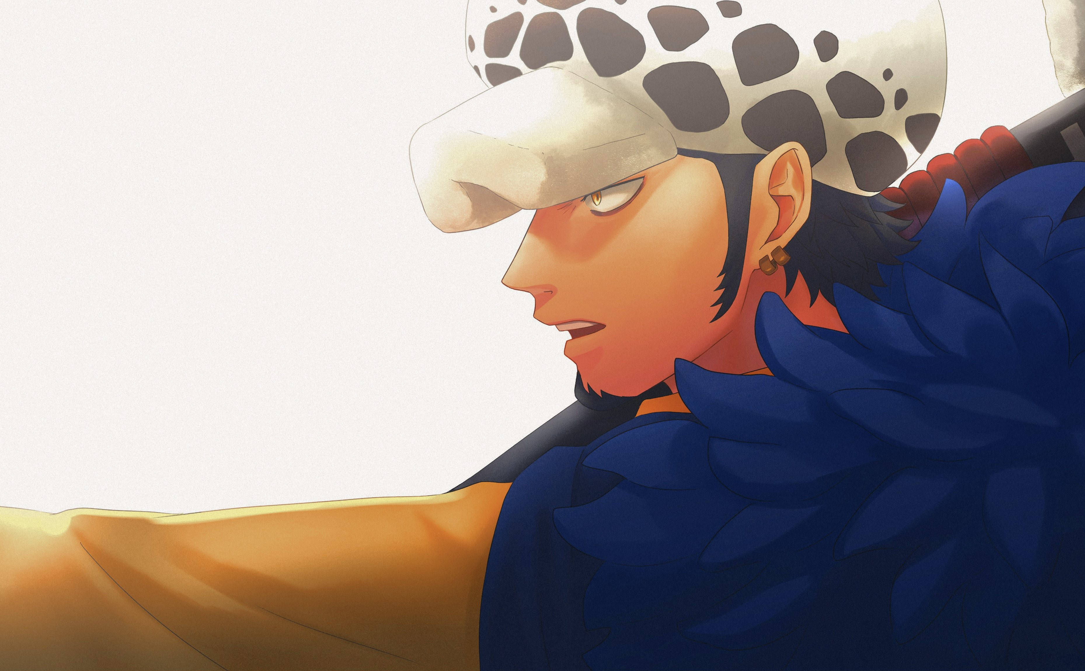 Trafalgar Law, One Piece, spotted hat, 2K Desktop Wallpaper