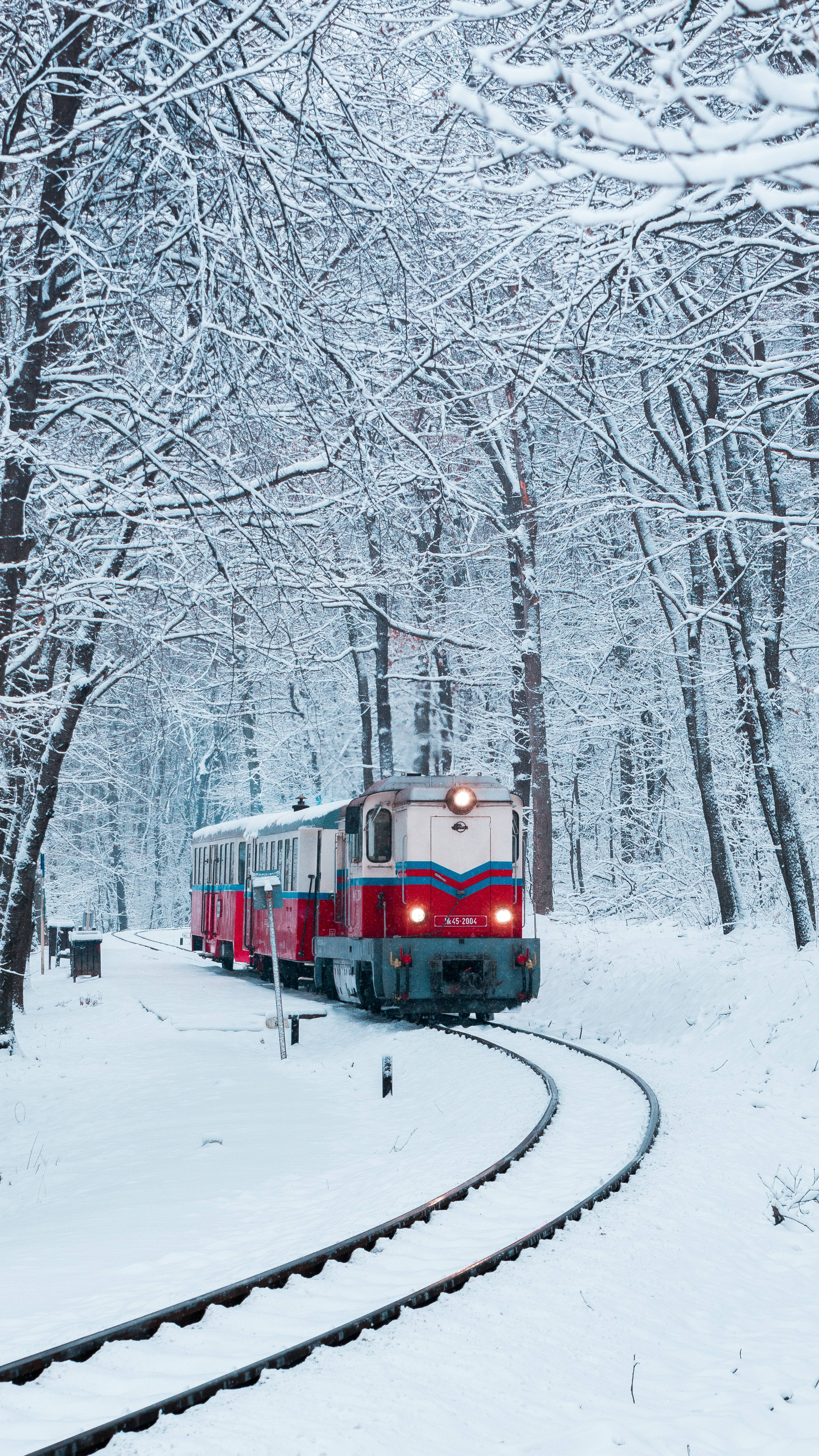 red and white train, snowy forest, snow-laden branches, 4K Phone Wallpaper