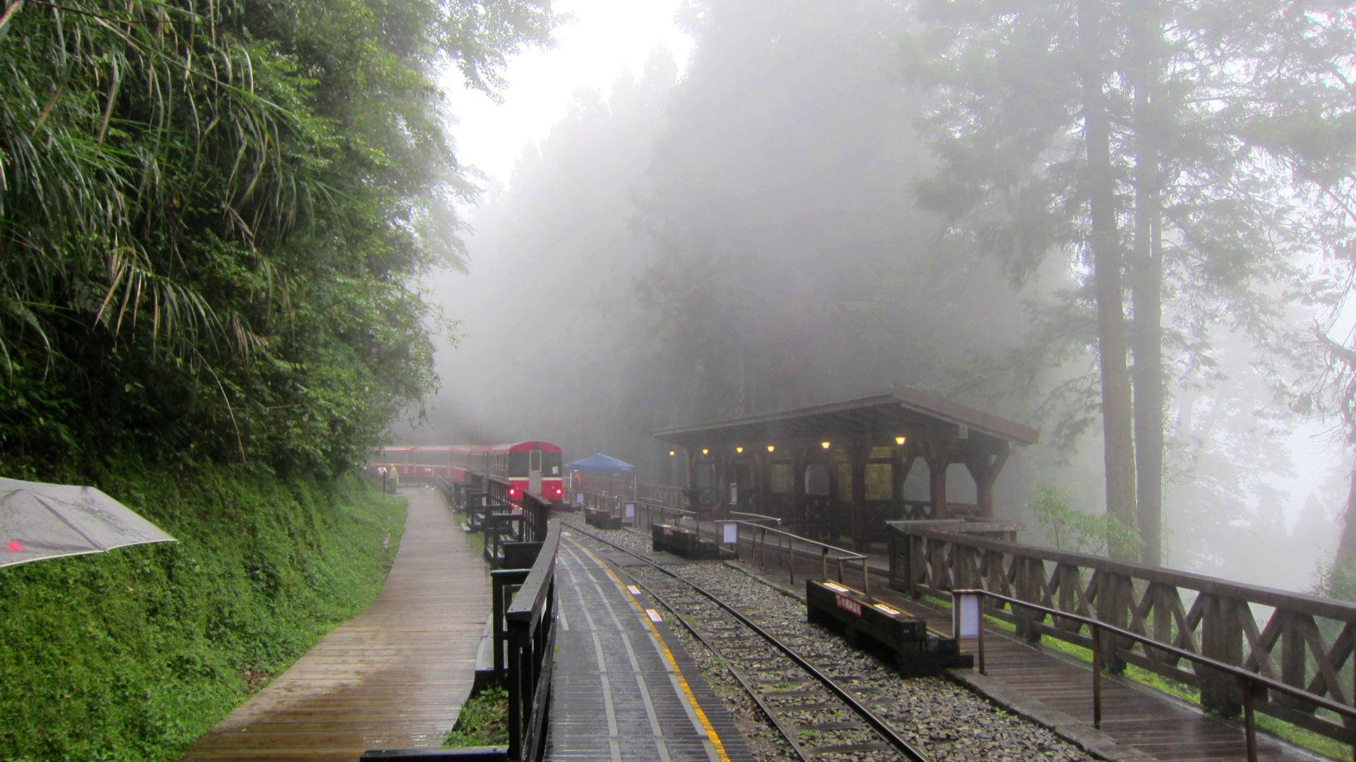 red train, wooden station, lush green forest, Full HD Desktop Wallpaper