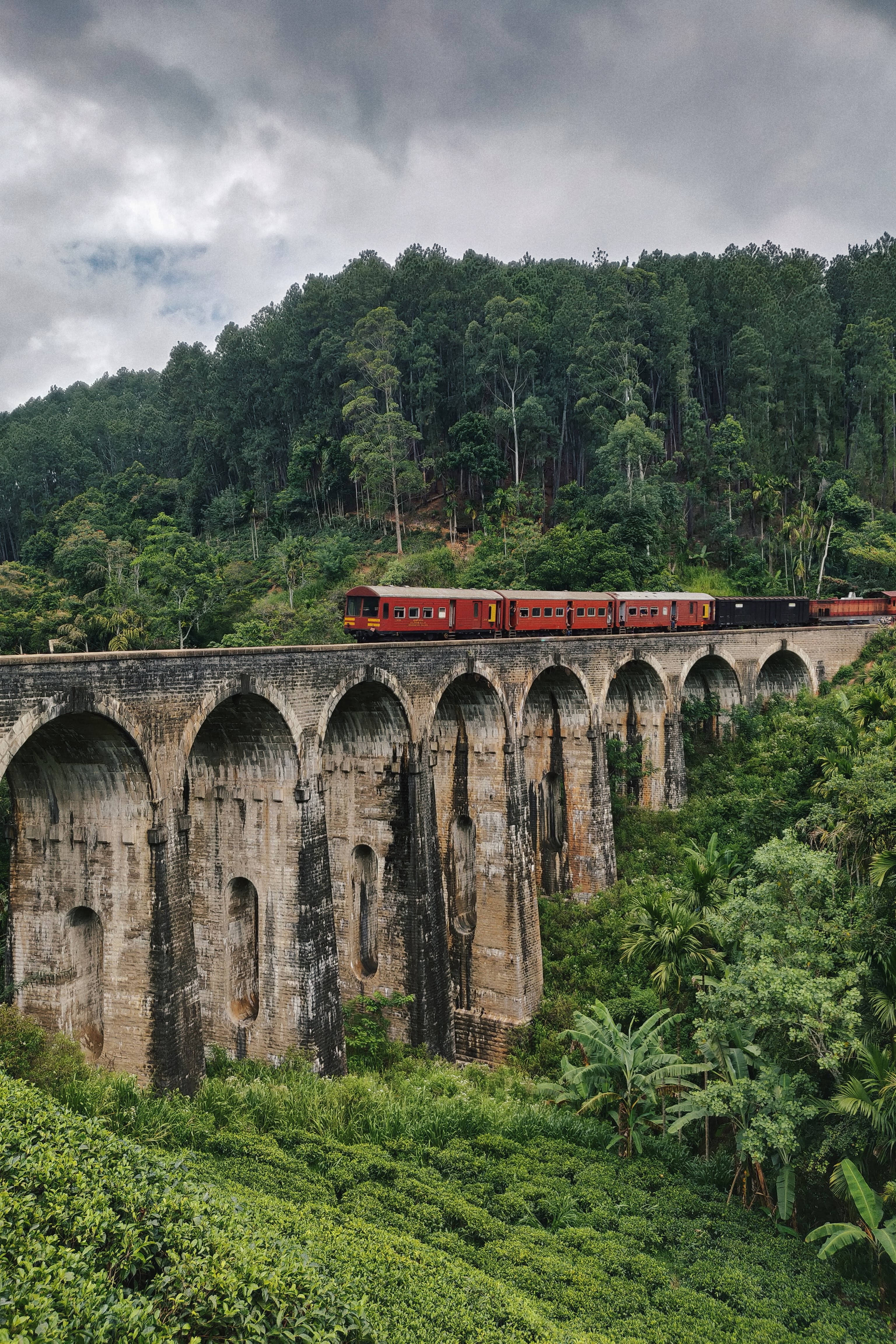 vintage train, stone viaduct, dense green jungle, 4K Phone Wallpaper
