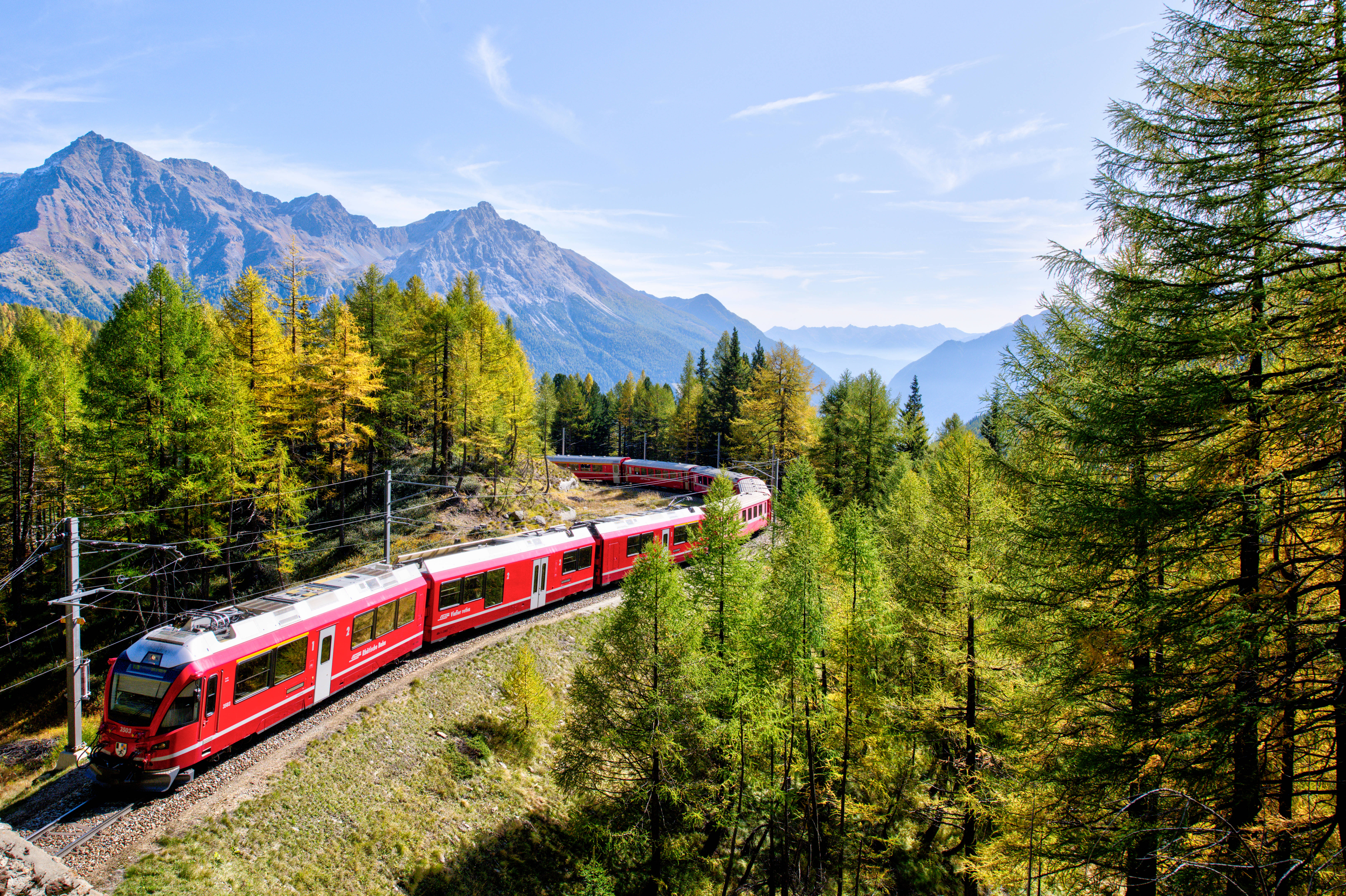 red and white train, sunlit forest, green and gold trees, 5K Desktop Wallpaper