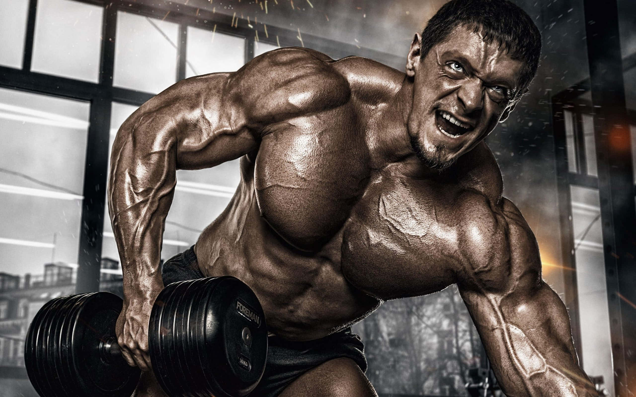 bodybuilder, dumbbell, gritty gym, 2K Desktop Wallpaper