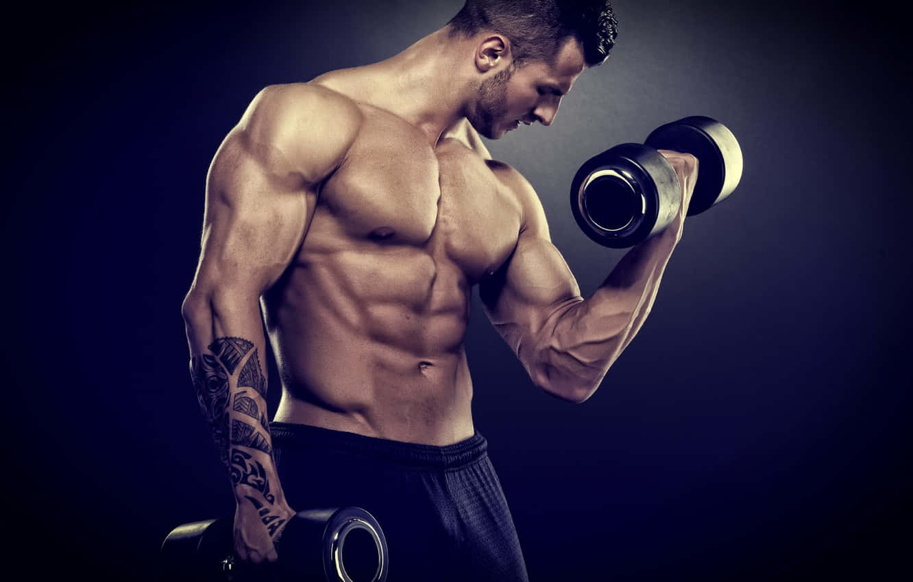 bicep training, dumbbells, muscular man, HD Desktop Wallpaper
