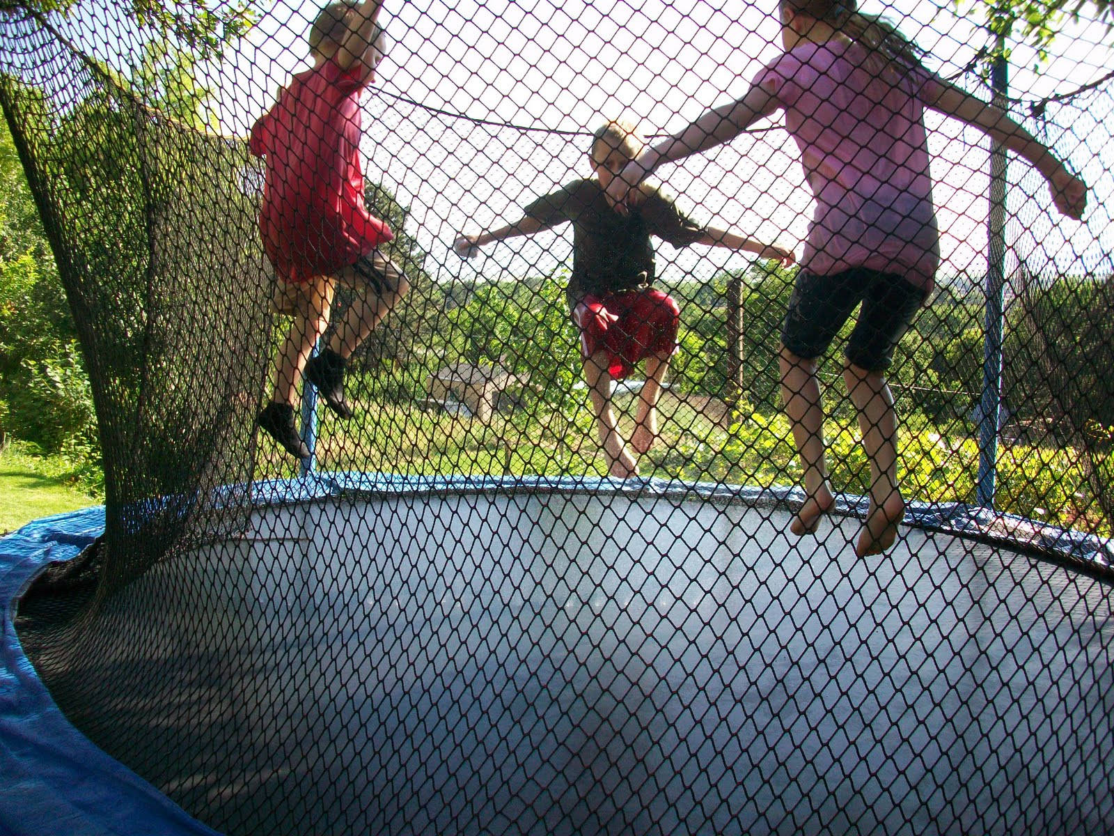 trampoline, safety net, sunlit backyard, HD Desktop Wallpaper