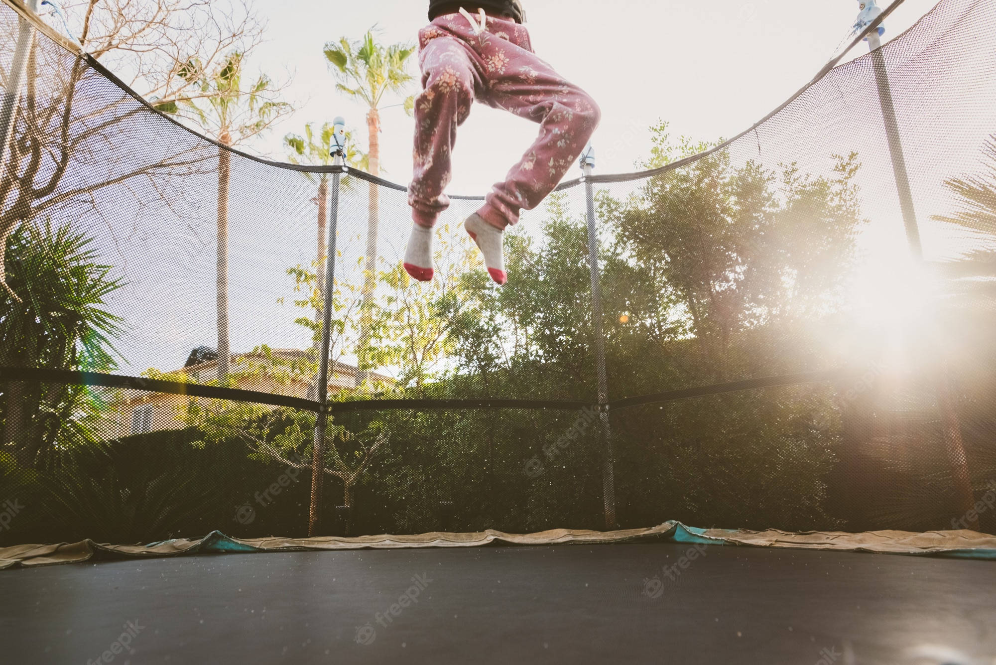 trampoline, backyard, palm trees, Full HD Desktop Wallpaper