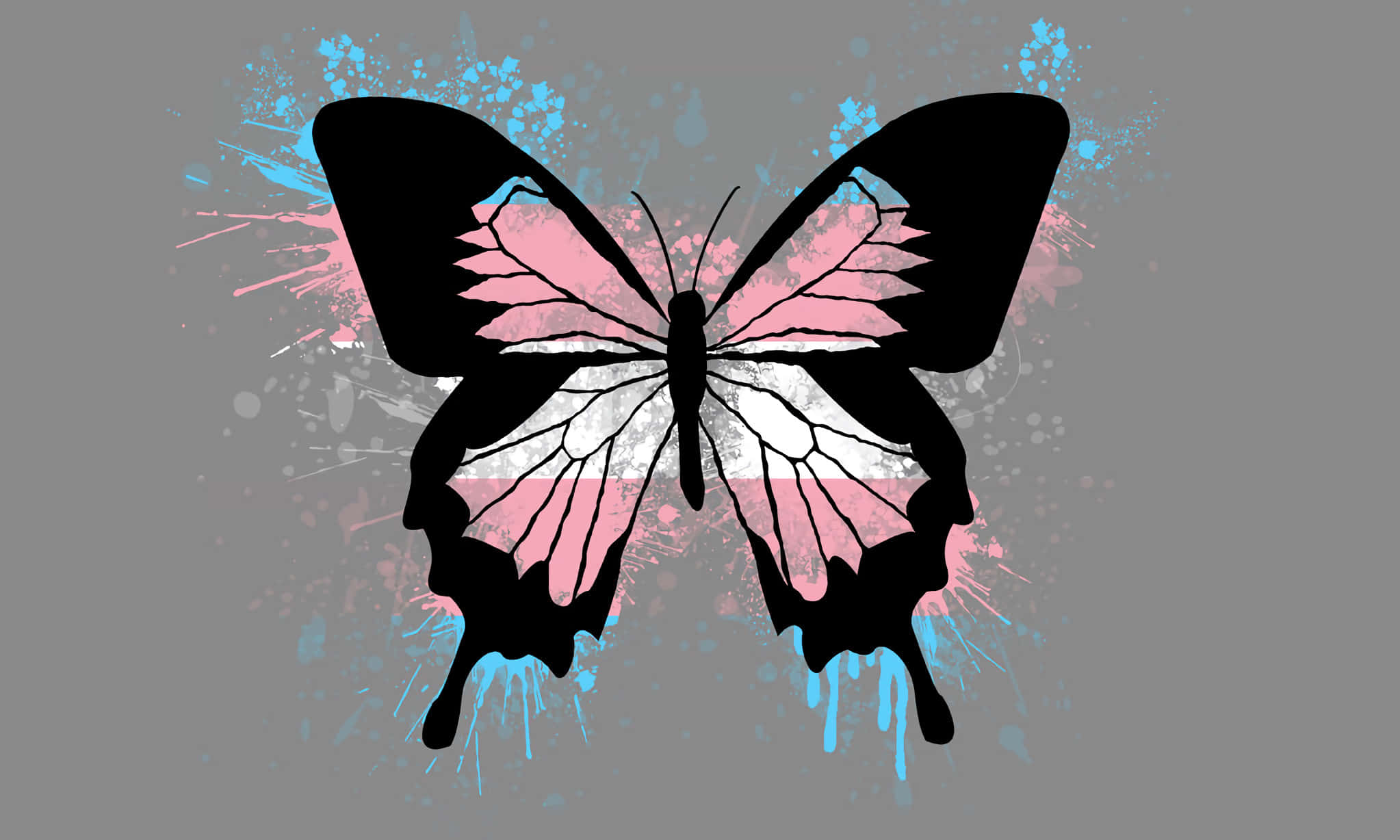 Trans Flag, black butterfly, pink wings, Full HD Desktop Wallpaper