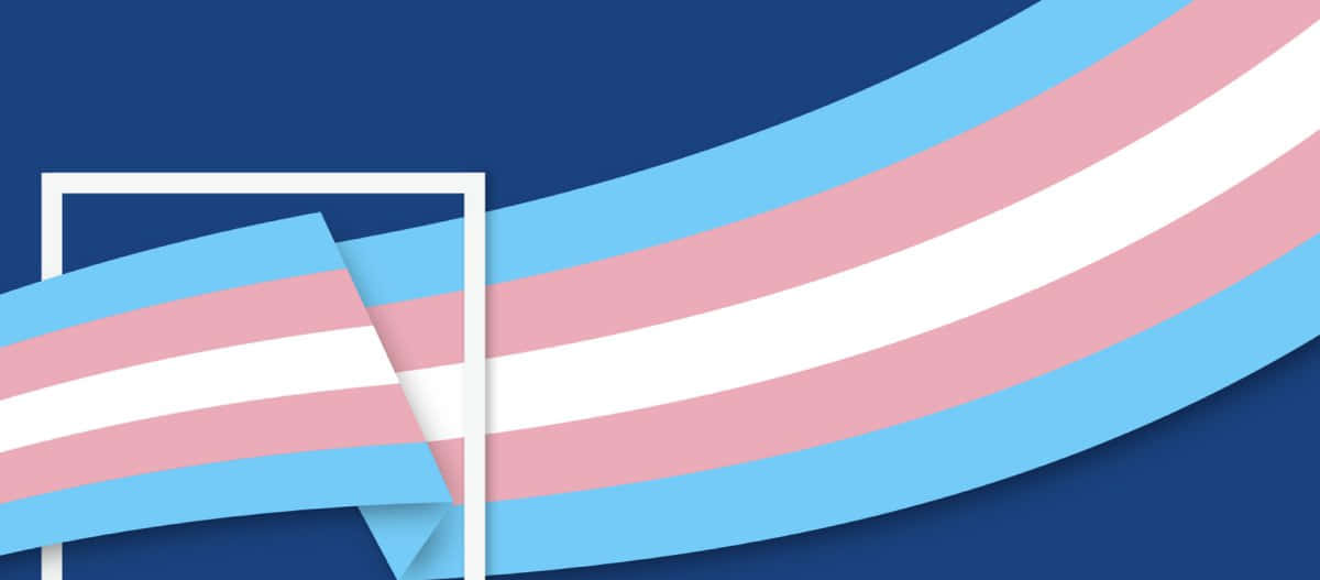 trans flag, blue background, white picture frame, SD Desktop Wallpaper