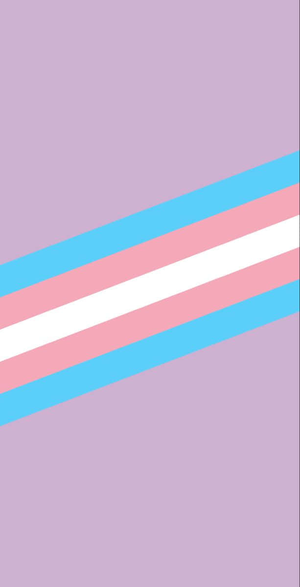 trans flag, light blue, pink, SD Phone Wallpaper