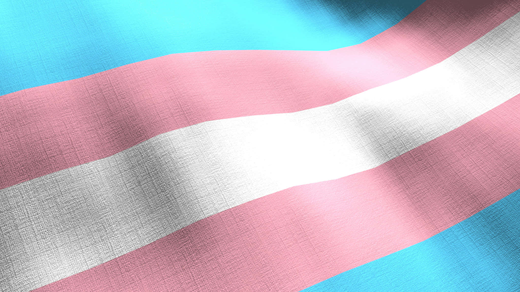 trans flag, light blue, pink, Full HD Desktop Wallpaper