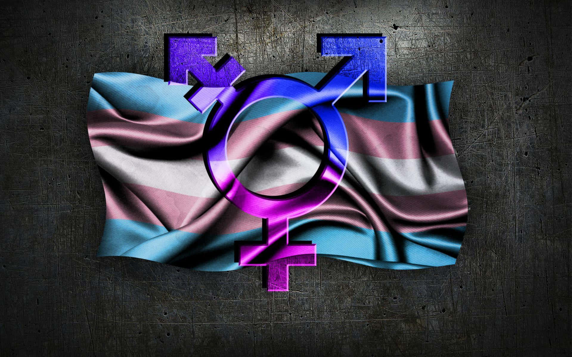 Trans Flag, glowing purple gender symbols, textured dark wall, HD Desktop Wallpaper