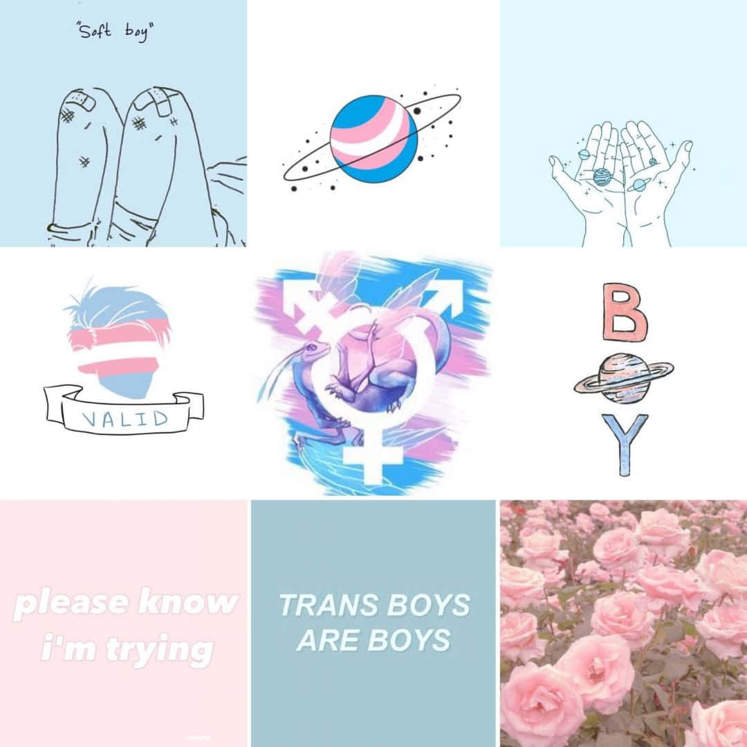 trans boys, cosmic symbols, roses, SD Desktop Wallpaper