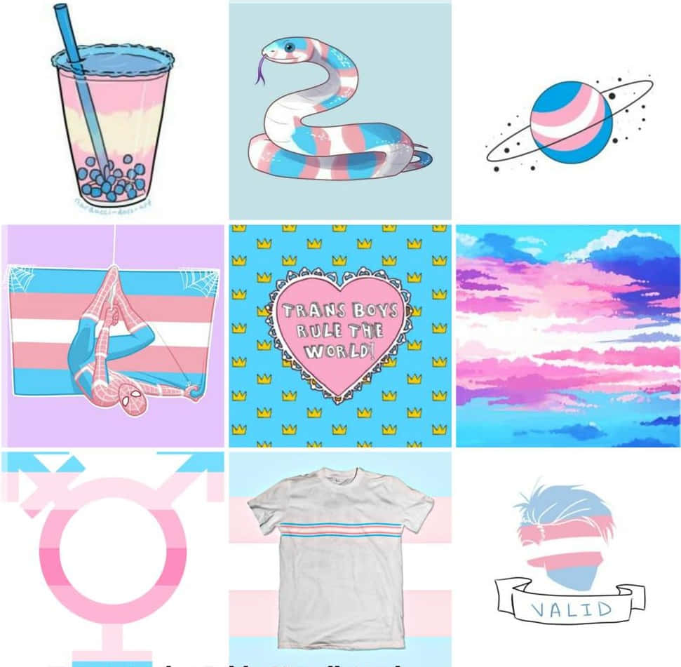 Trans Colors And Symbol College, snake, planet, SD Desktop Wallpaper
