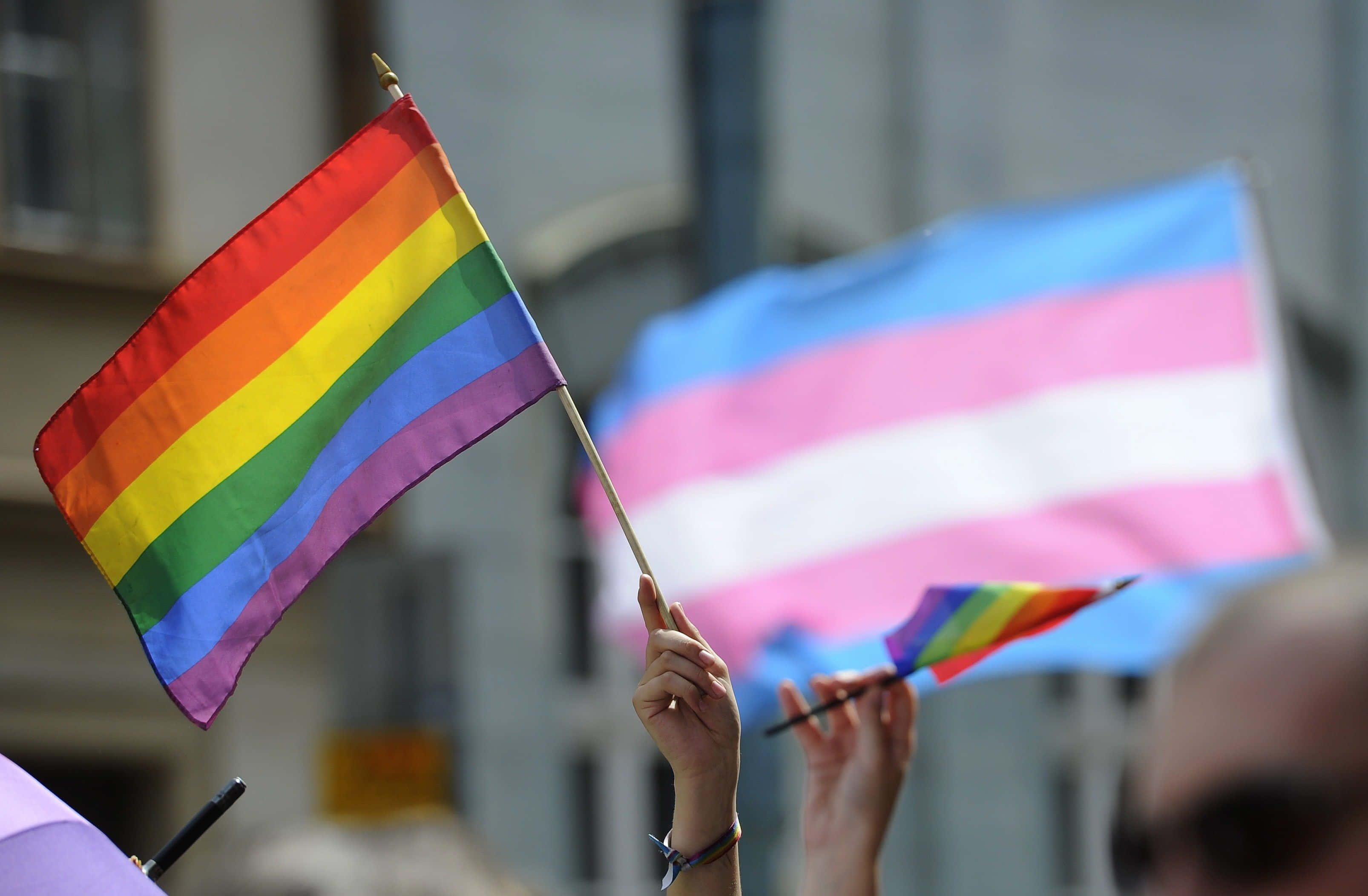 trans flag, rainbow flag, pride event, 2K Desktop Wallpaper