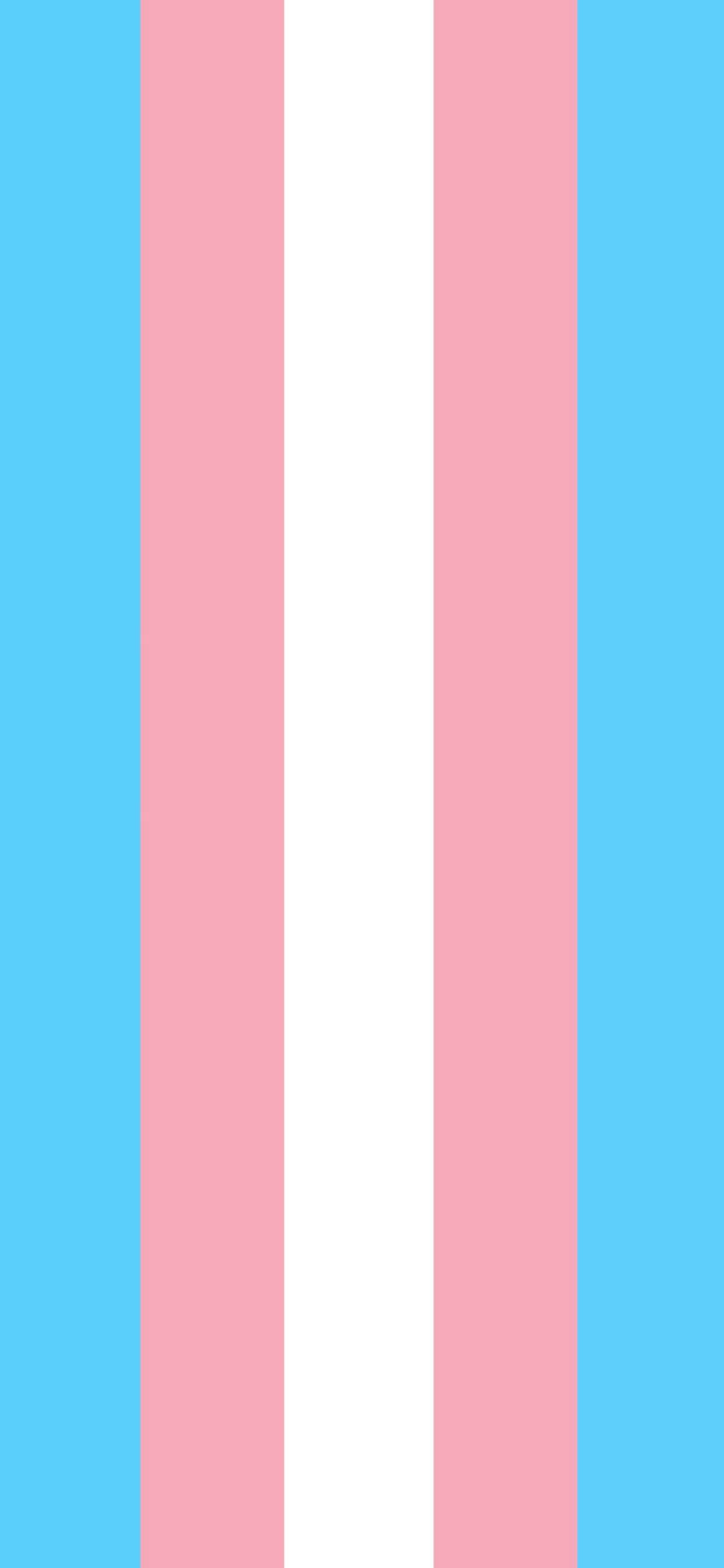 Trans Flag, light blue, pink, 2K Phone Wallpaper