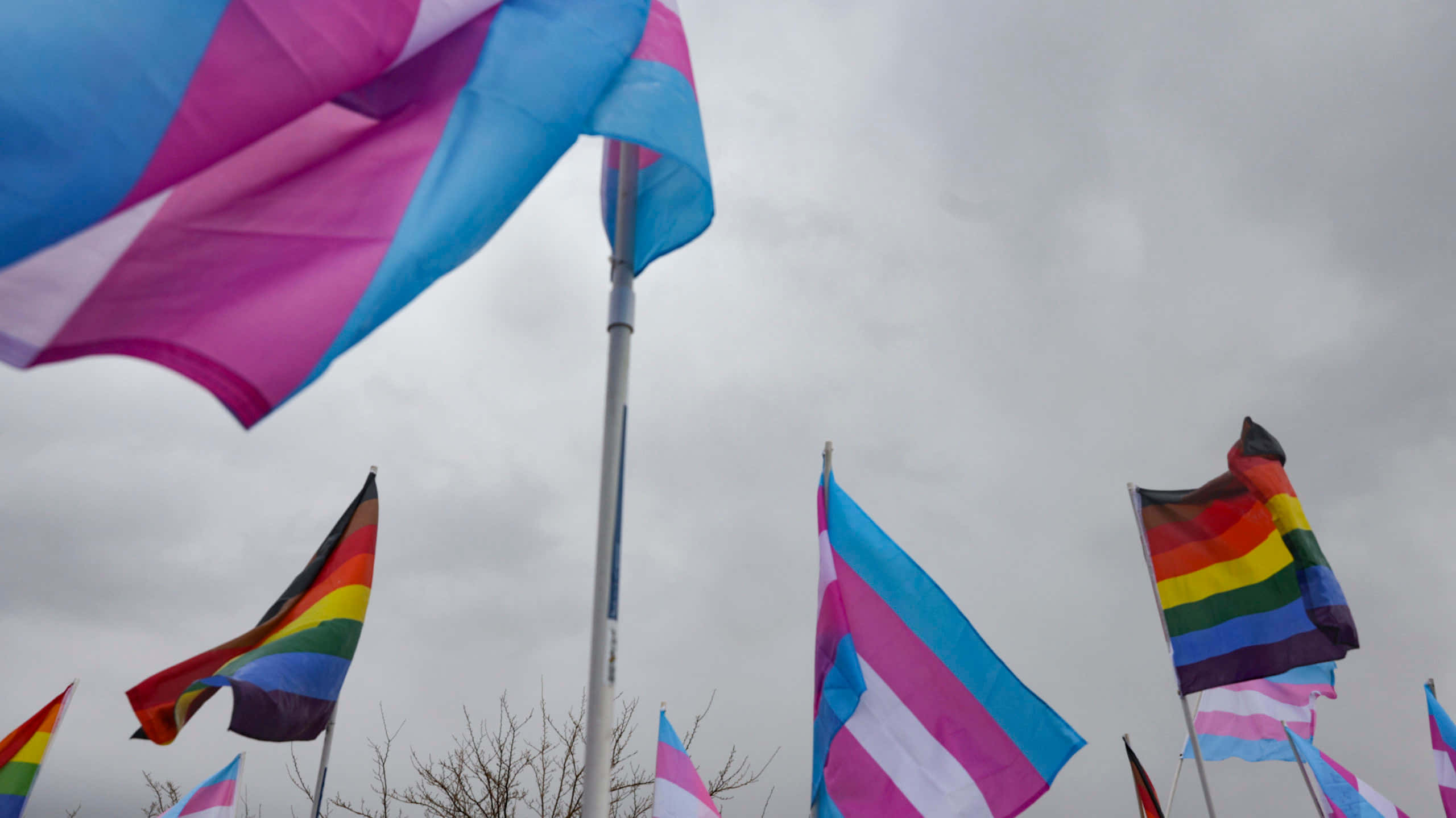 Trans Flag, rainbow, transgender pride flags, 2K Desktop Wallpaper