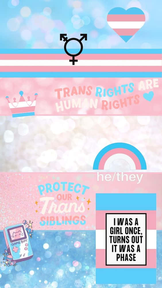 Trans Phone, pink, blue, SD Phone Wallpaper