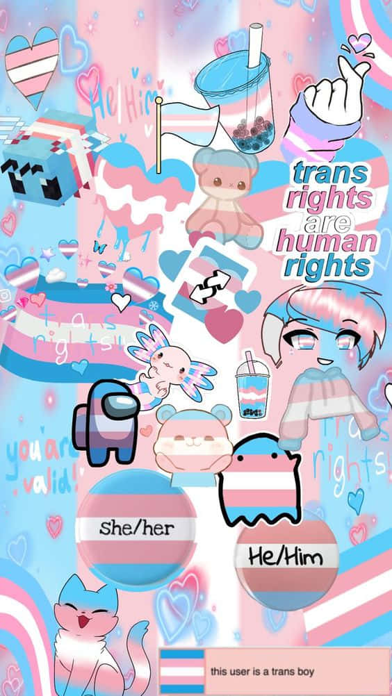 Trans Phone, pink, blue, SD Phone Wallpaper