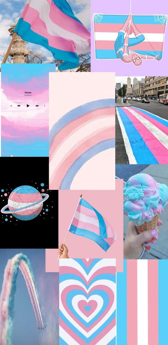 Trans Phone, trans pride flags, waving flags, SD Phone Wallpaper