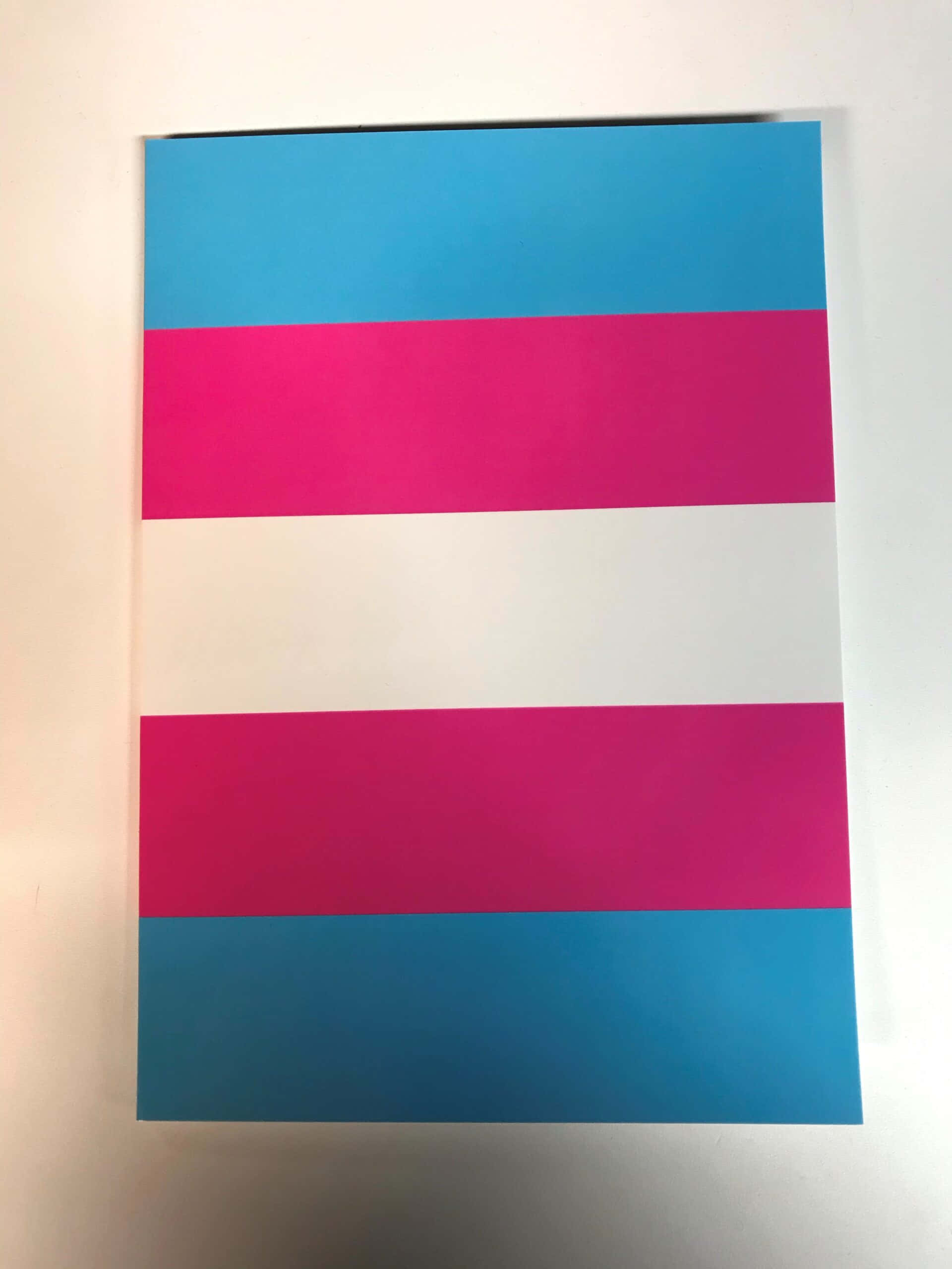 trans flag, blue, pink, 2K Phone Wallpaper